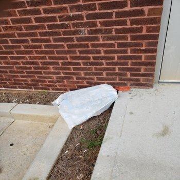 Springhill Suites Atlanta Suwanee