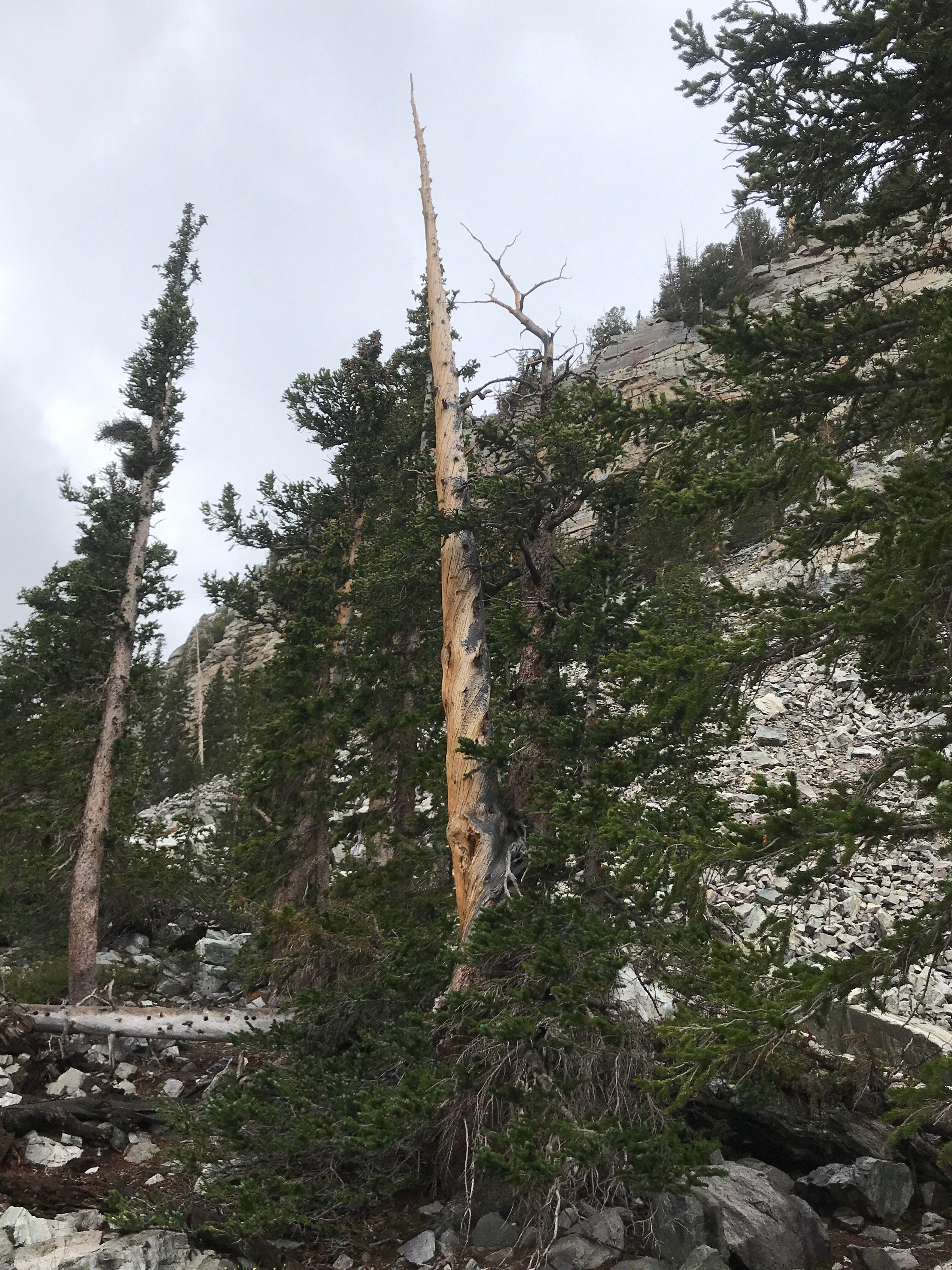 Photo by workhardplayhard27