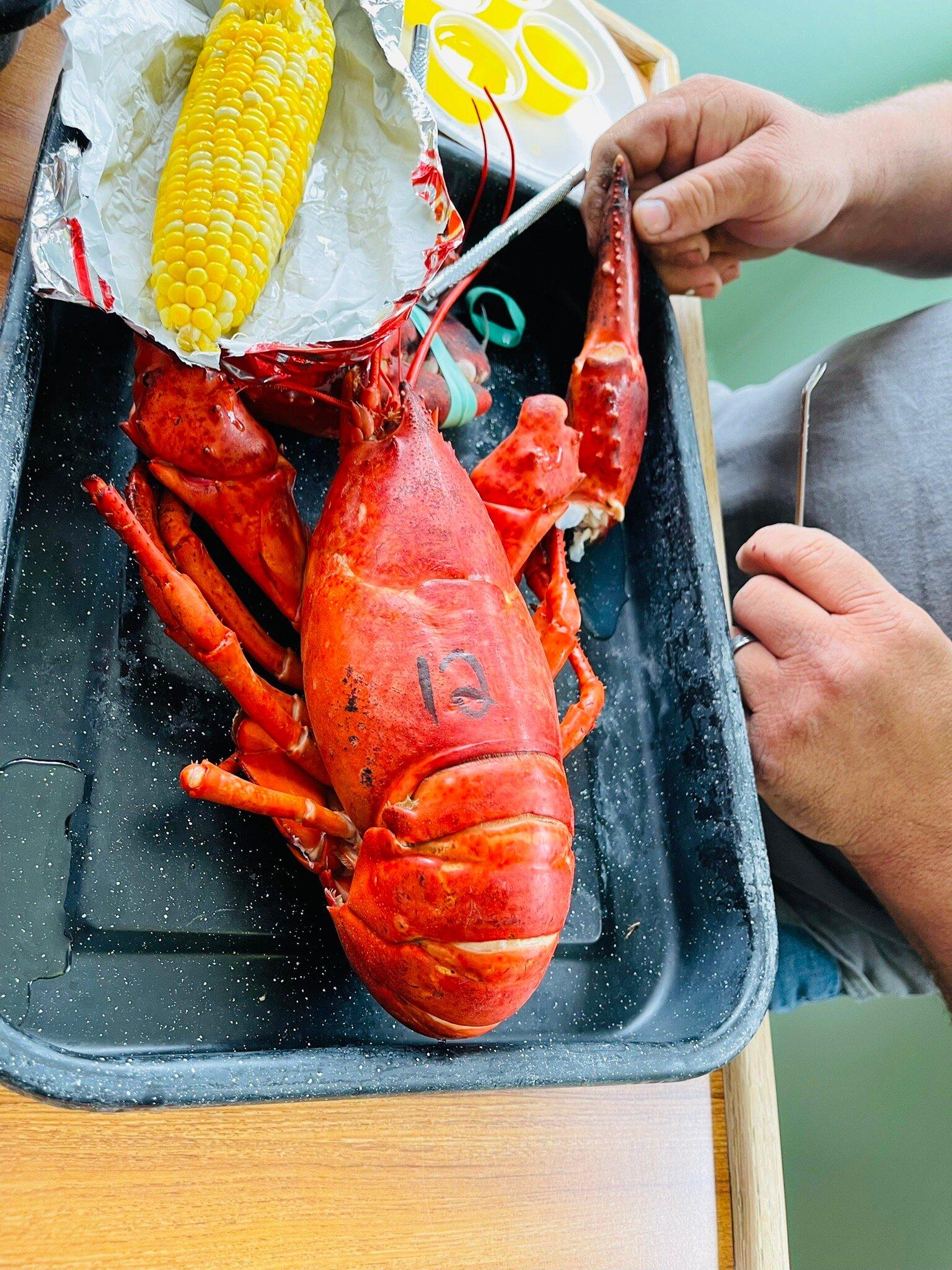 Photo by JacquesR910