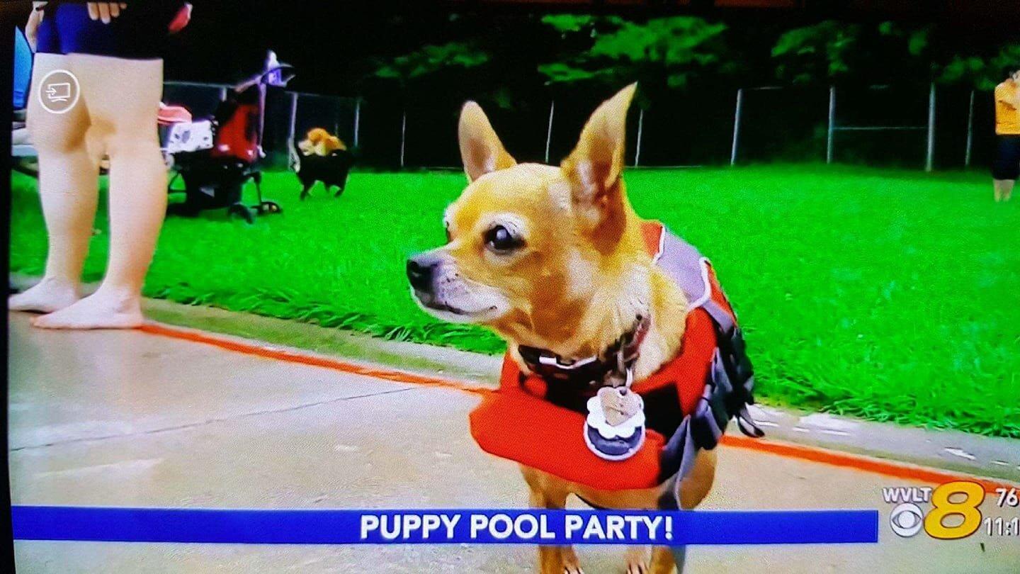 Oak Ridge Outdoor Swim Pool