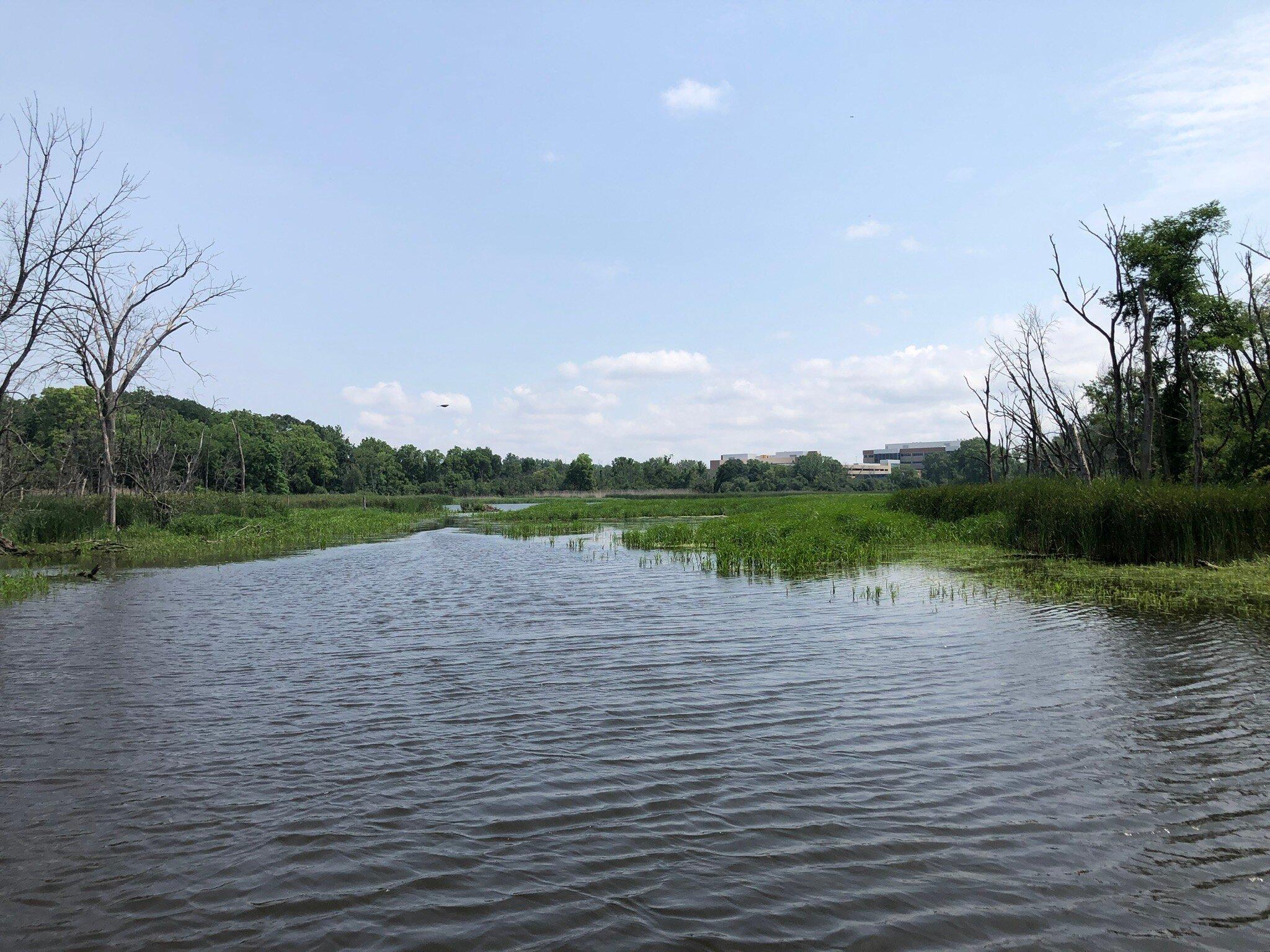 Lyman Woods Nature Center