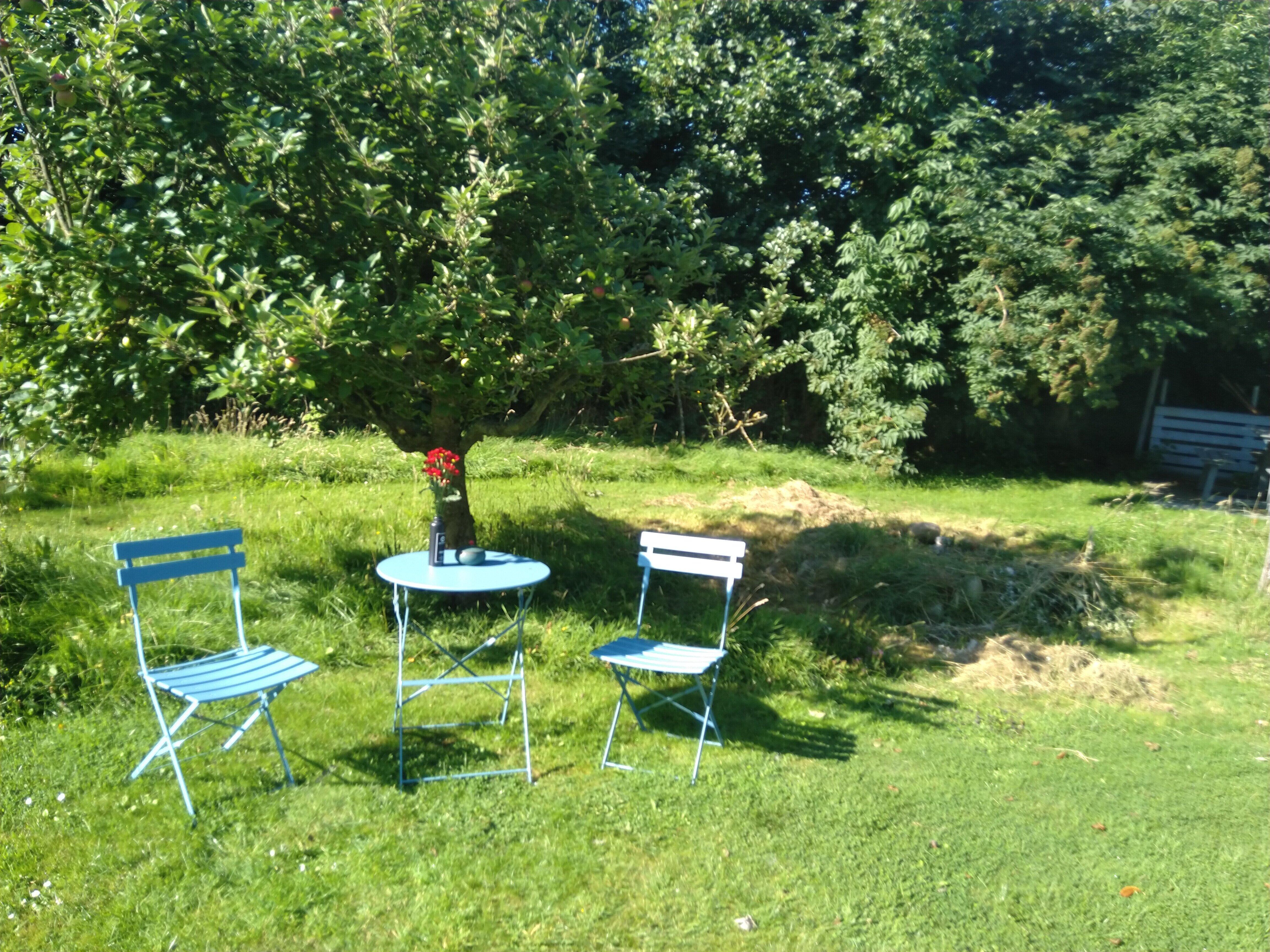 Seerose Boutique-Hotel