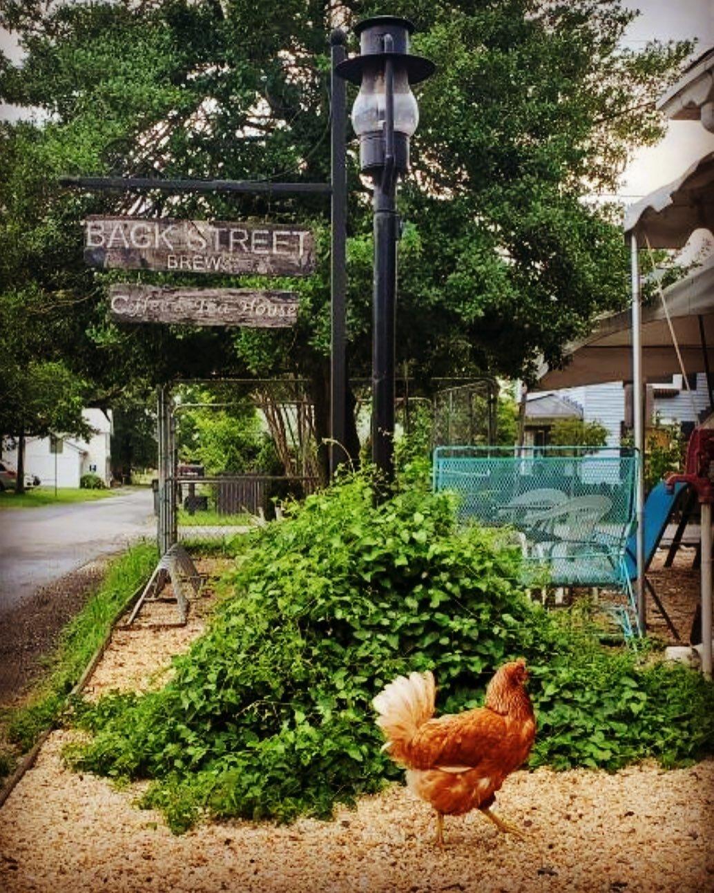 Back Street Brews Coffee & Tea House