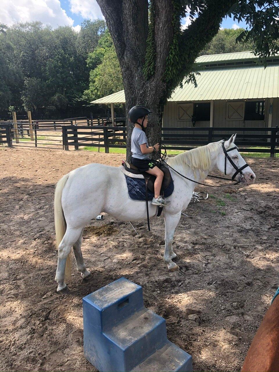 Moss Creek Equestrian Center