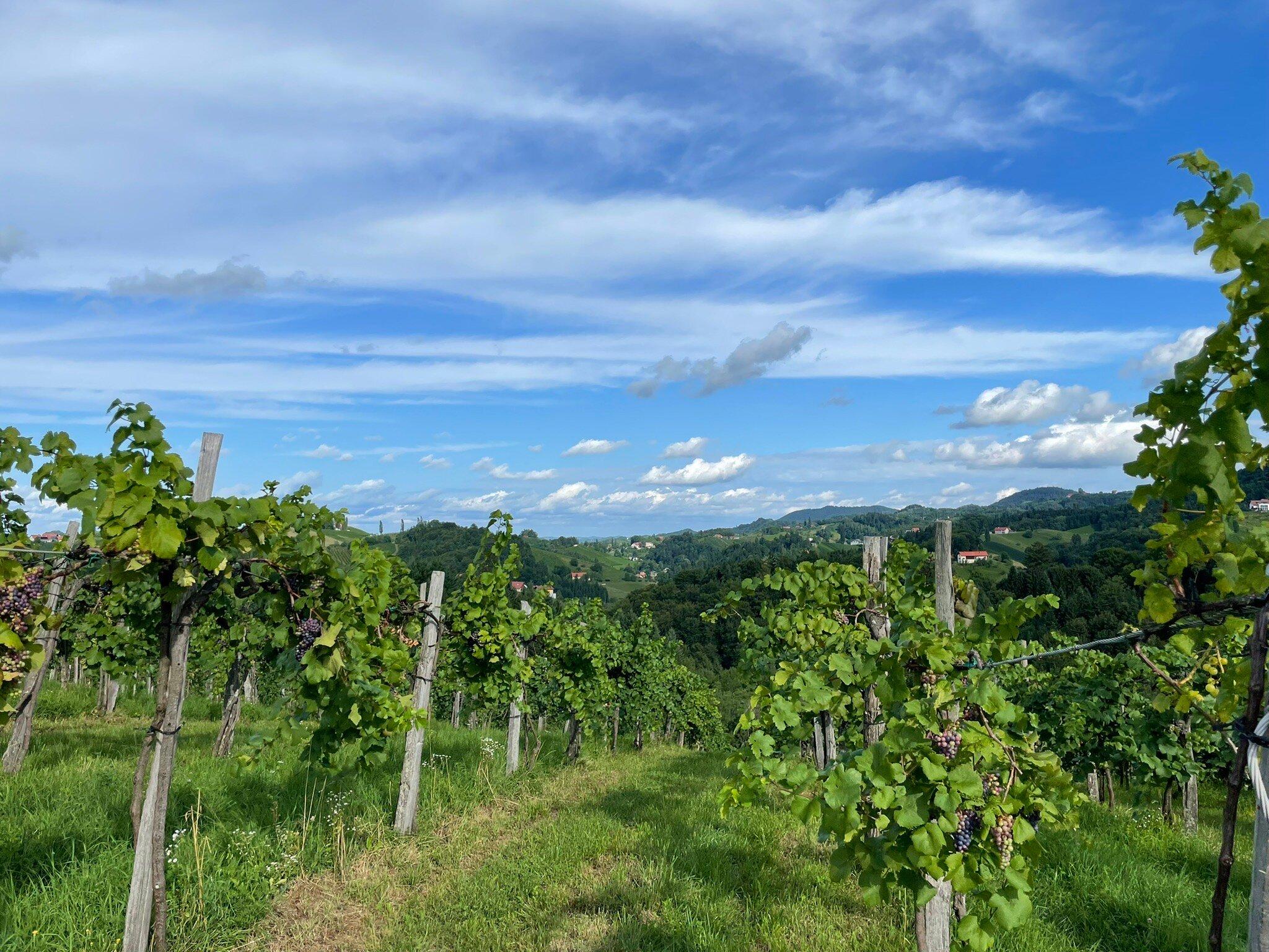 Weingut Hannes Sabathi