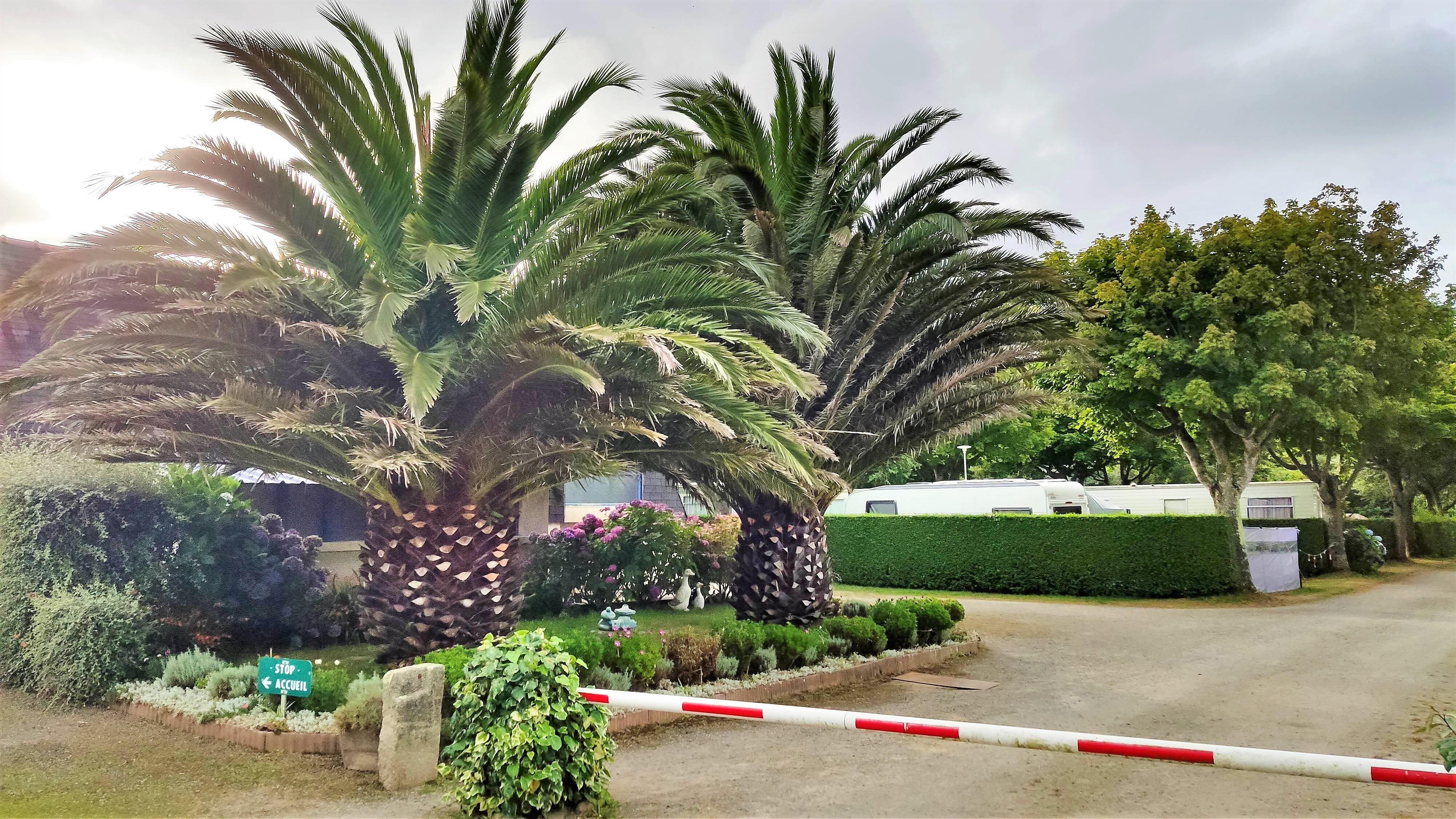 Camping Les Macareux