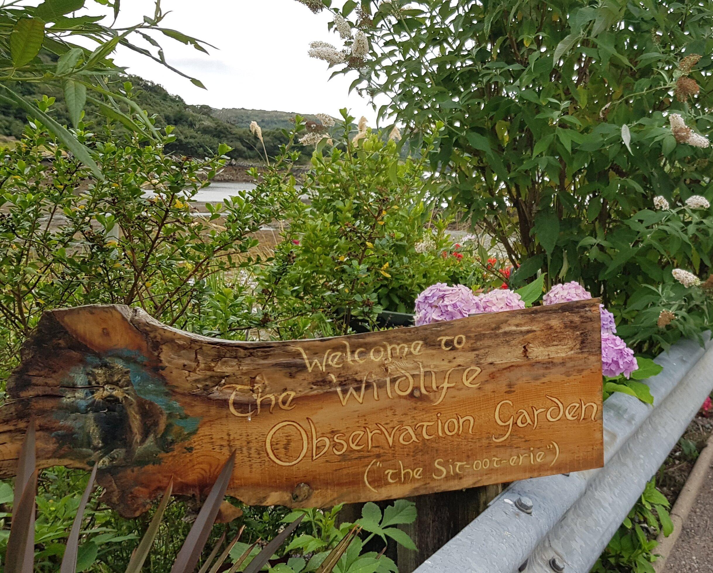 Photo by denisesV4531DS