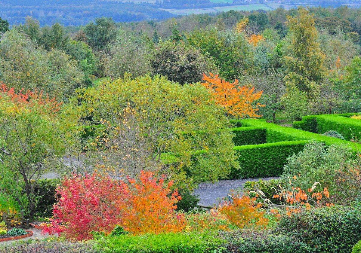 Birkheads Secret Gardens