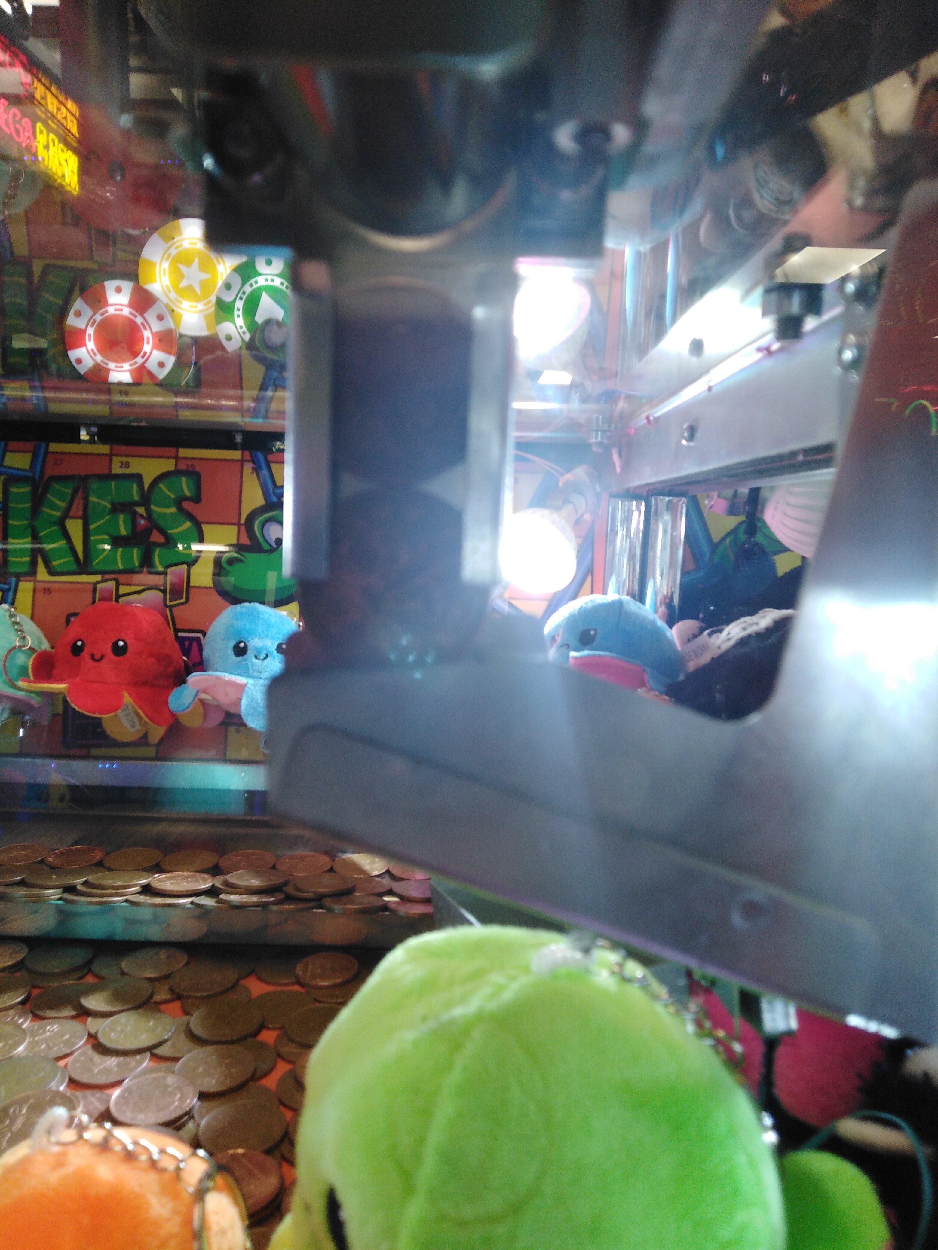 The Flamingo Amusement Arcade