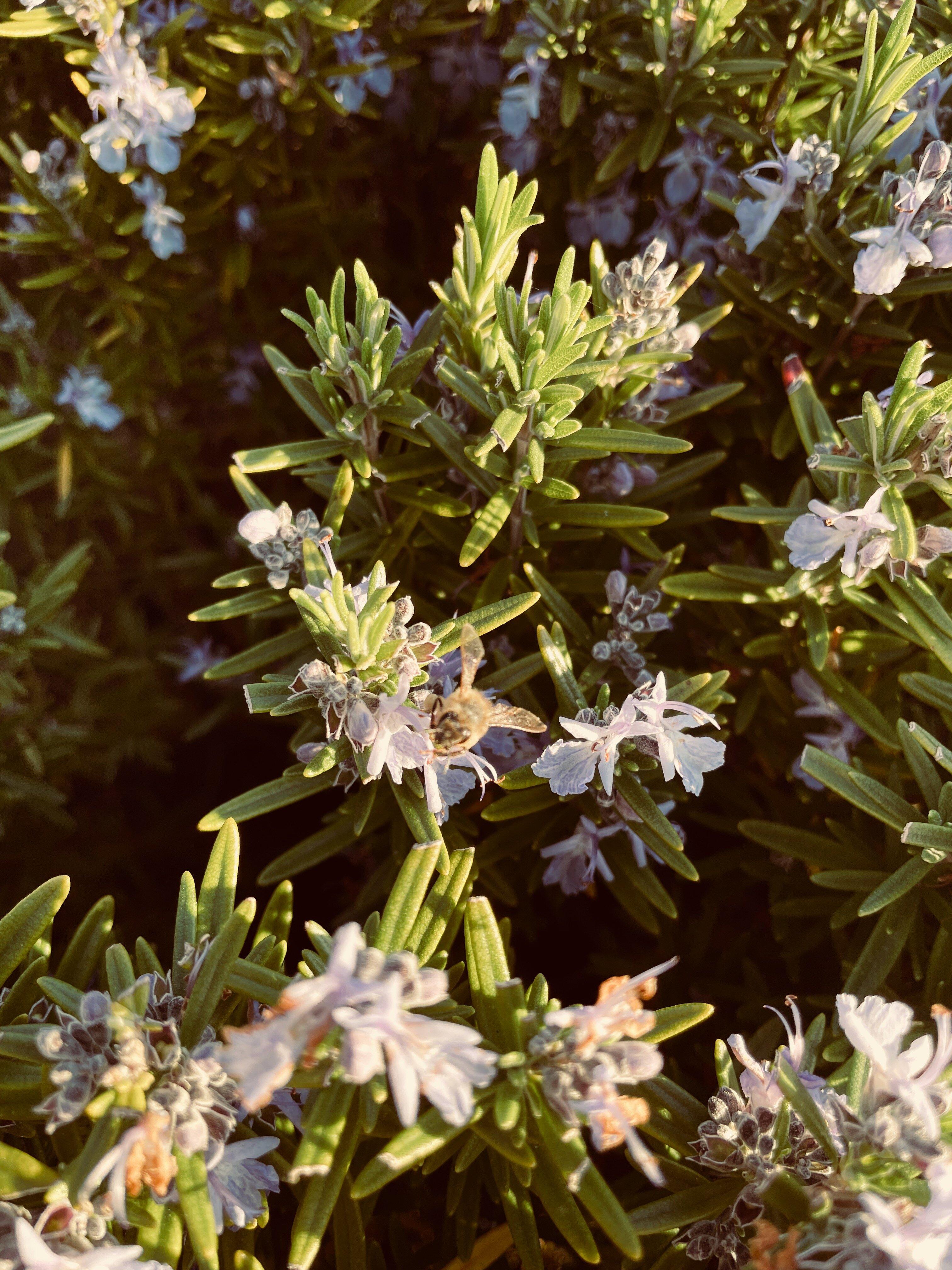 Tooborac War Memorial