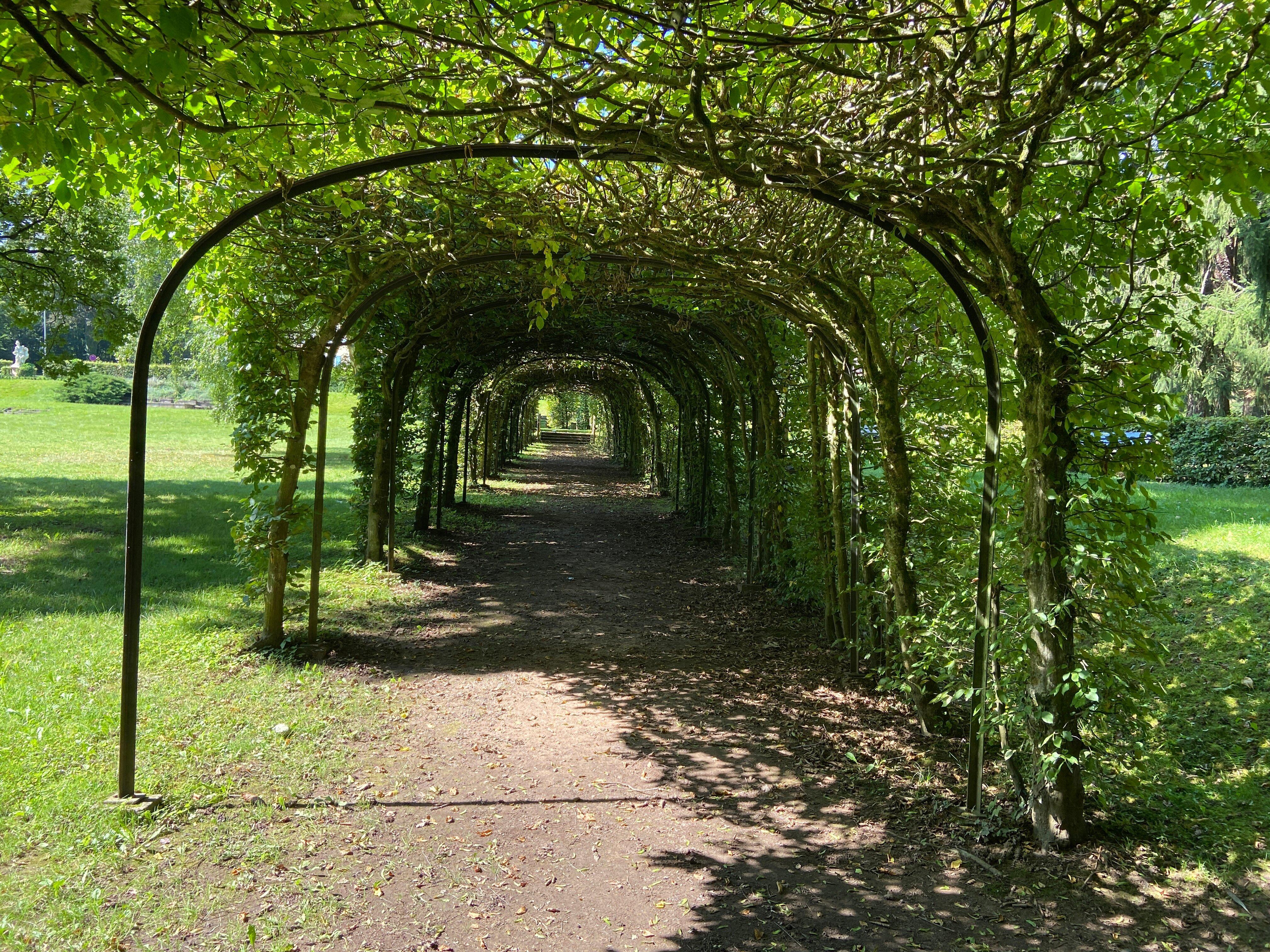 Photo by Hendlschorsch