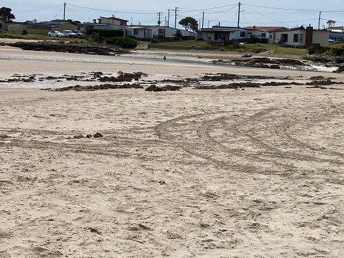The Beach At Crayfish Creek