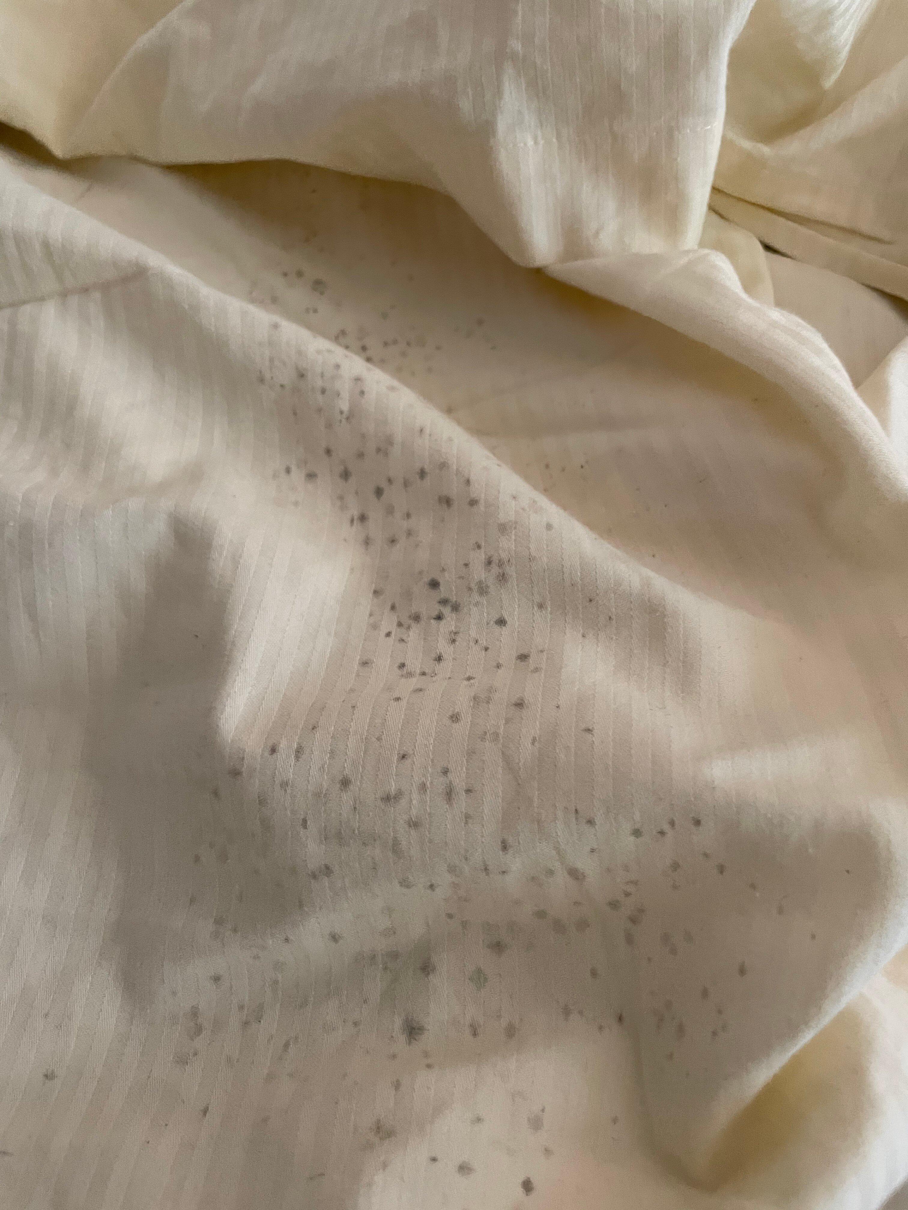 Appartementhaus Sellin