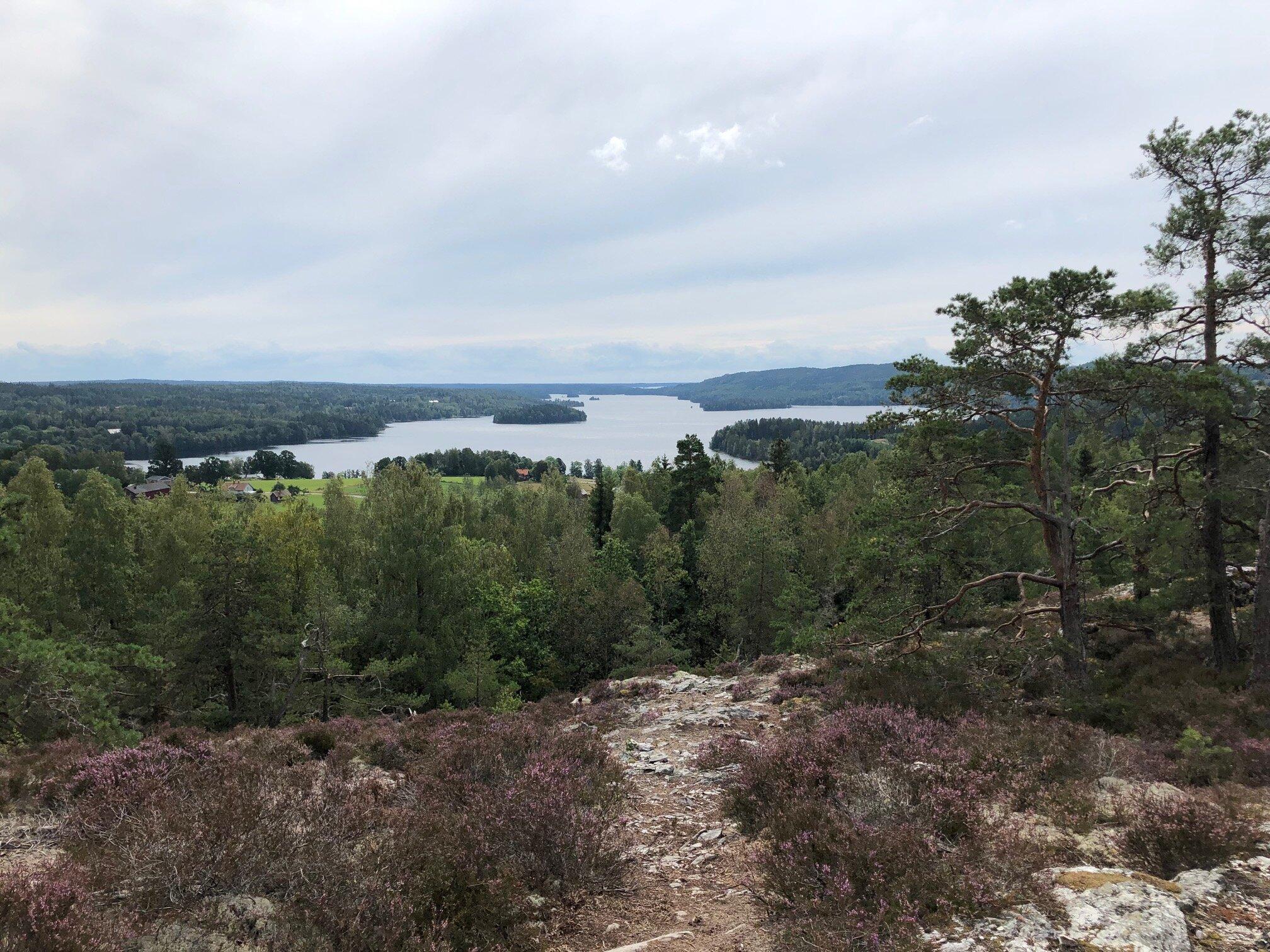 Photo by L1Spiessens