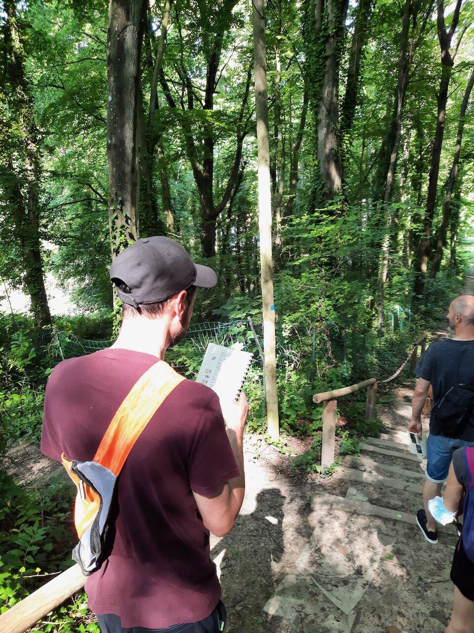 Randonnee Mystere Du Bois De Cise (Baie de Somme Exploration)