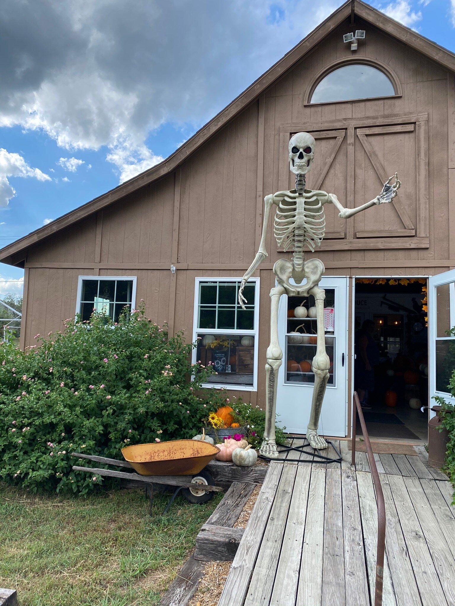 McKenna's Family Farm