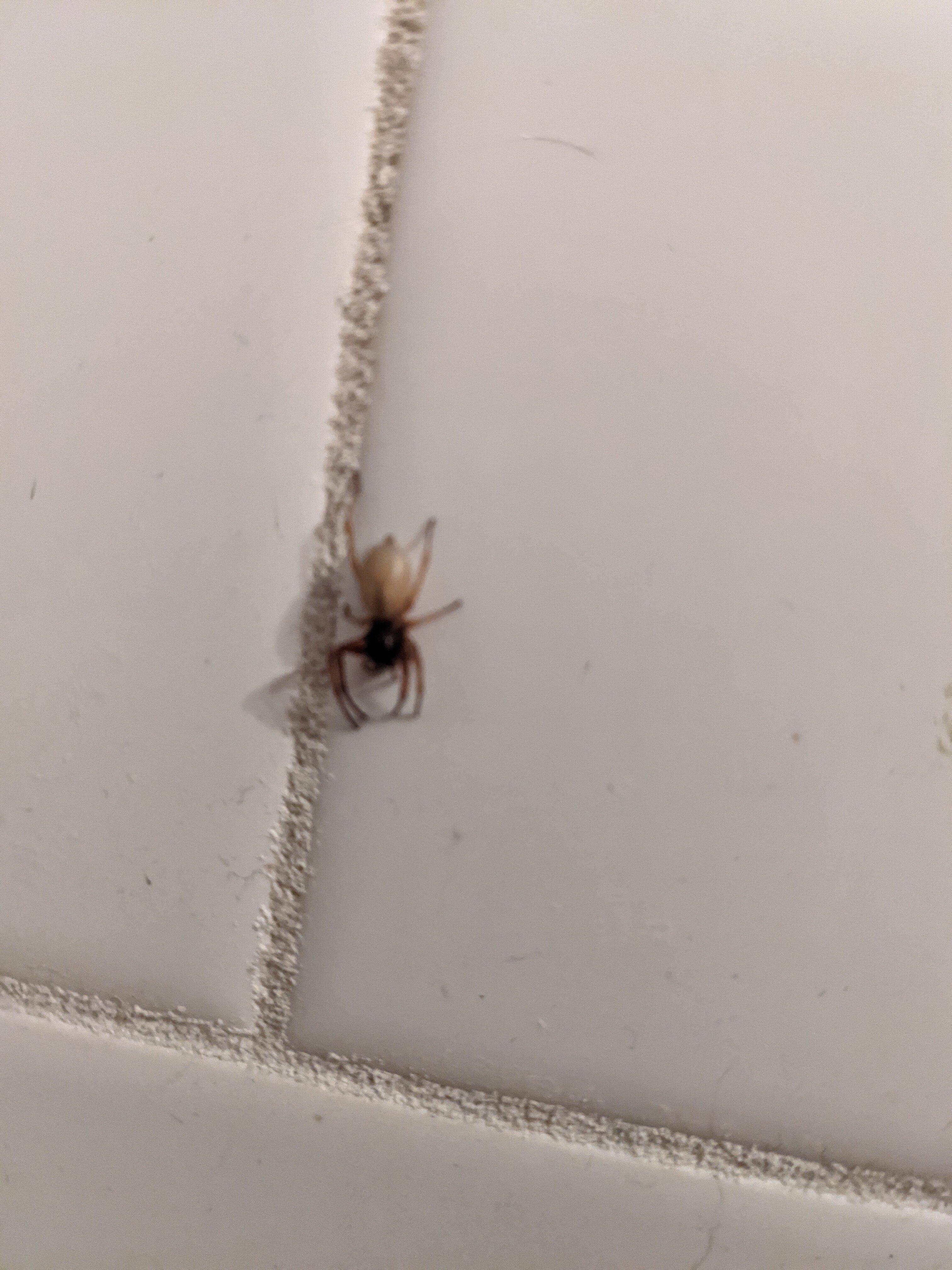 Photo by Z7359ICdouglasr