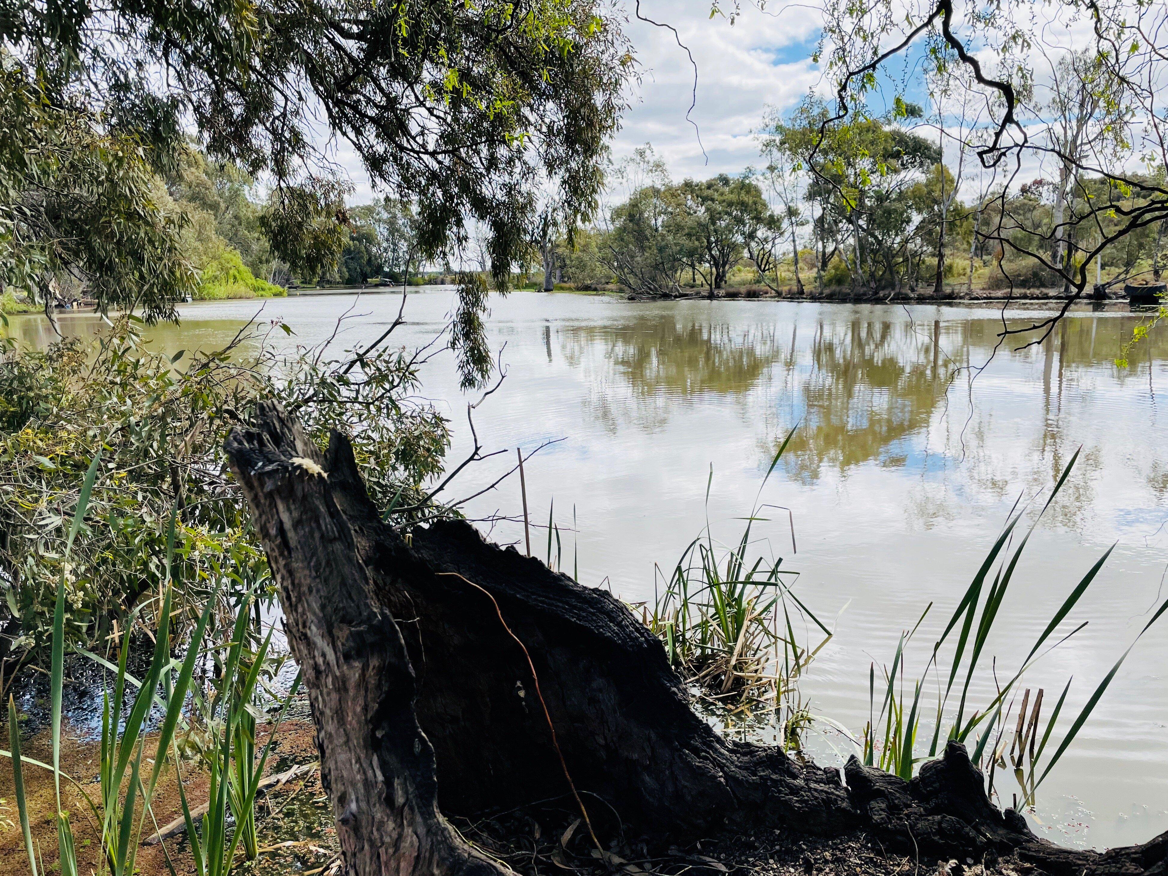 Apex Park Playground