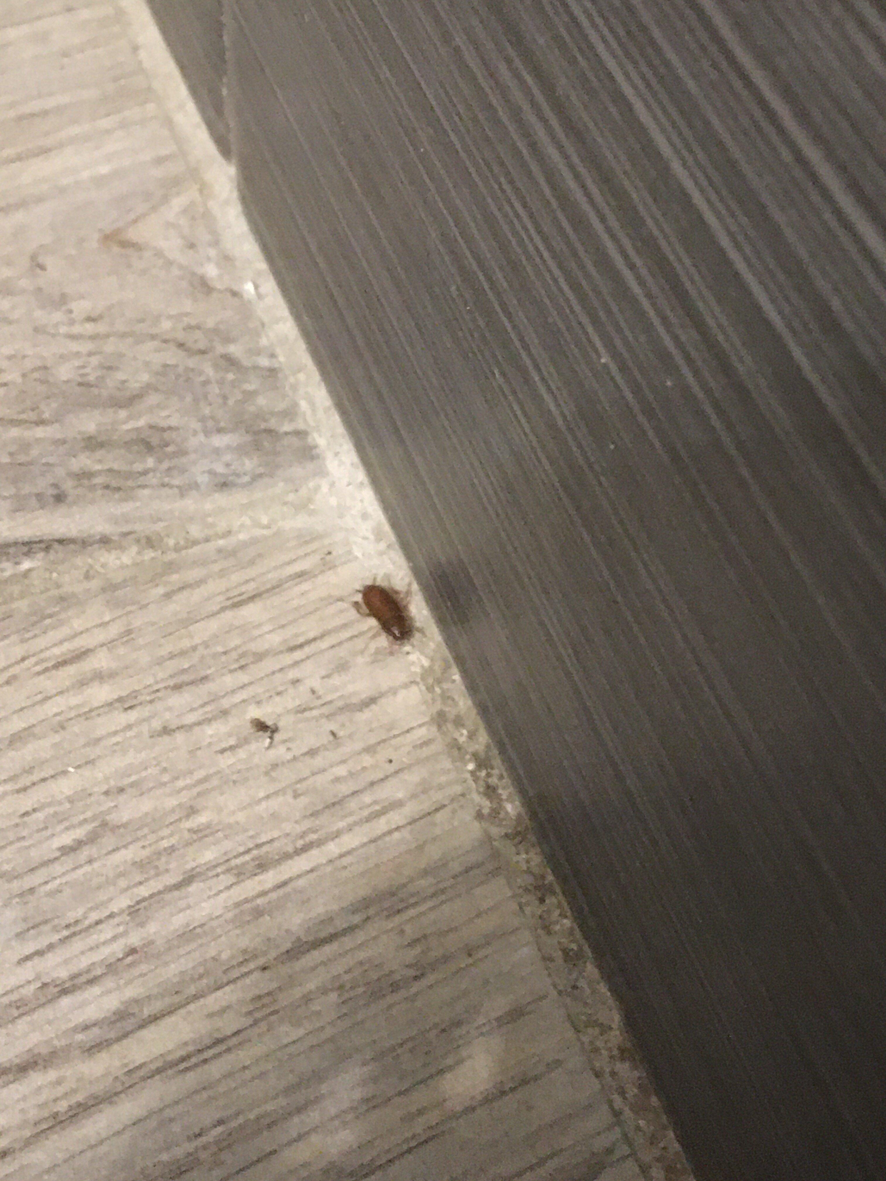 WanderJaunt - North Park Apartments