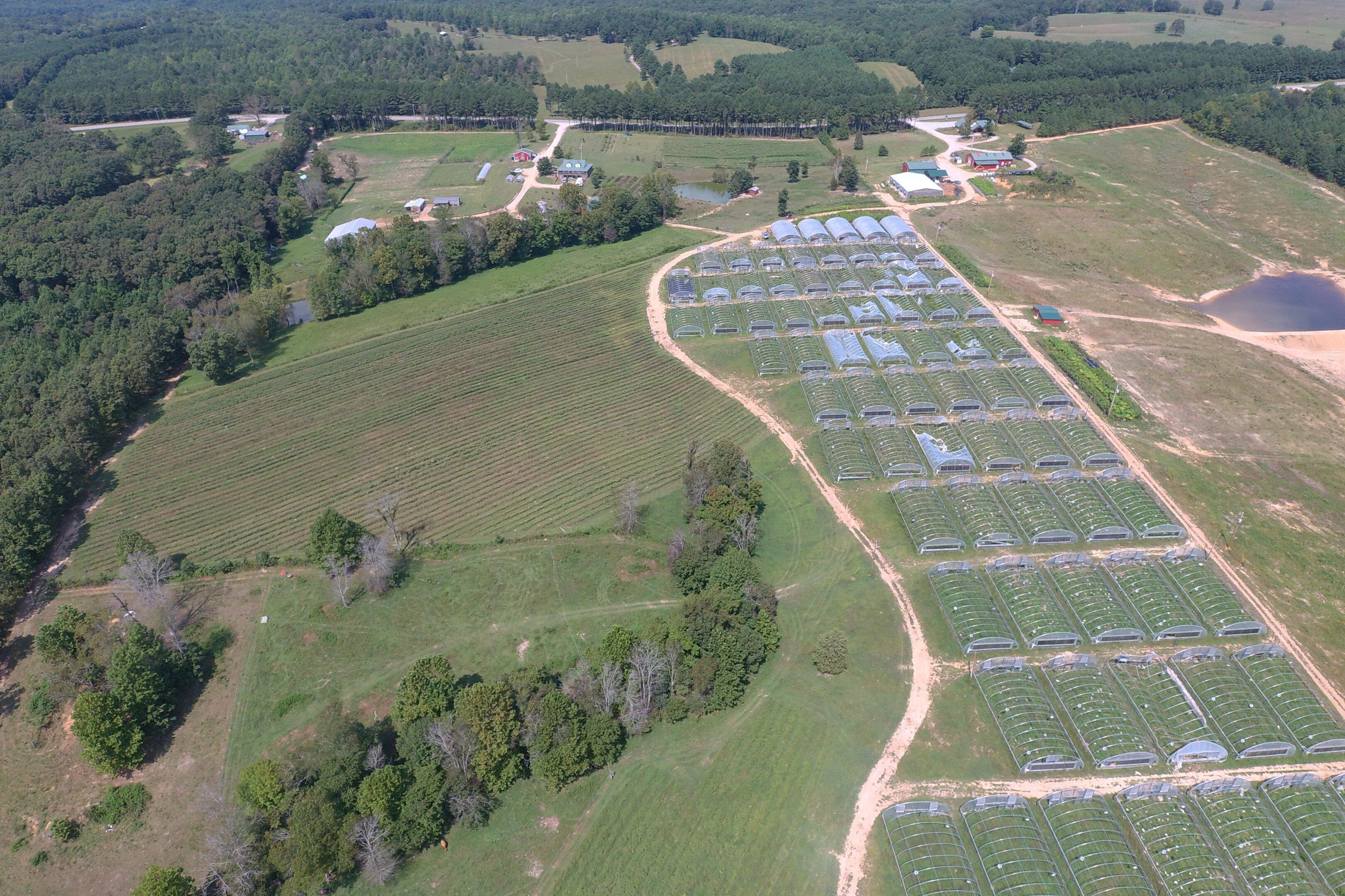 Center for Regenerative Agriculture & Sustainability.