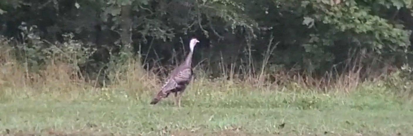 Photo by Dwightfranklin1