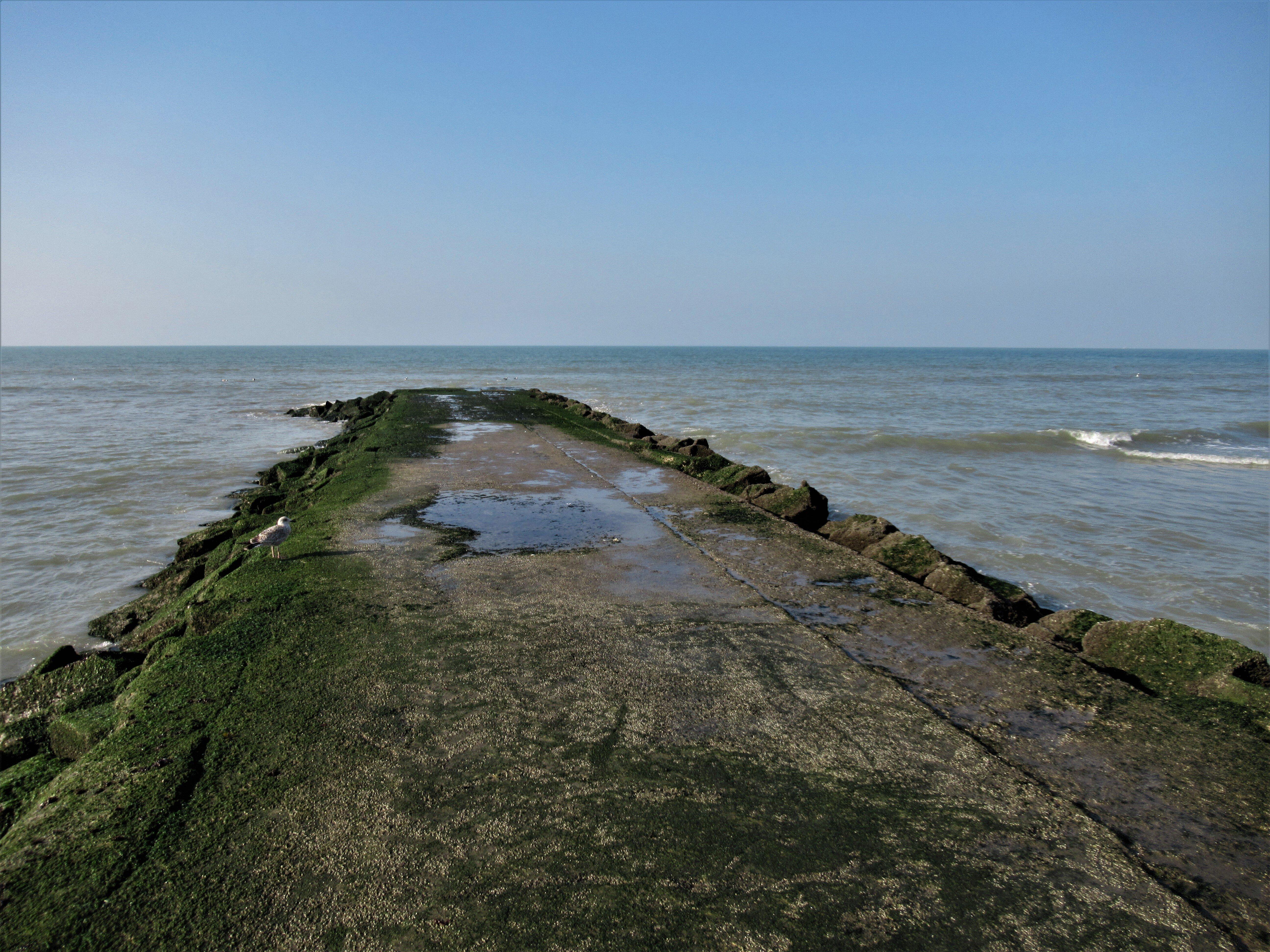 Plage De Blonville Sur Mer