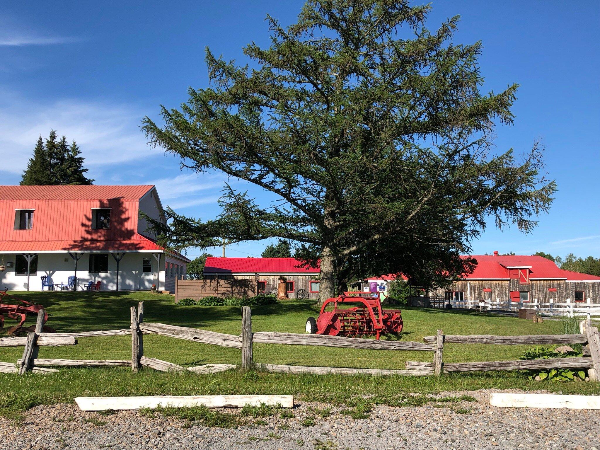 Ferme et Pisciculture Lac en ville