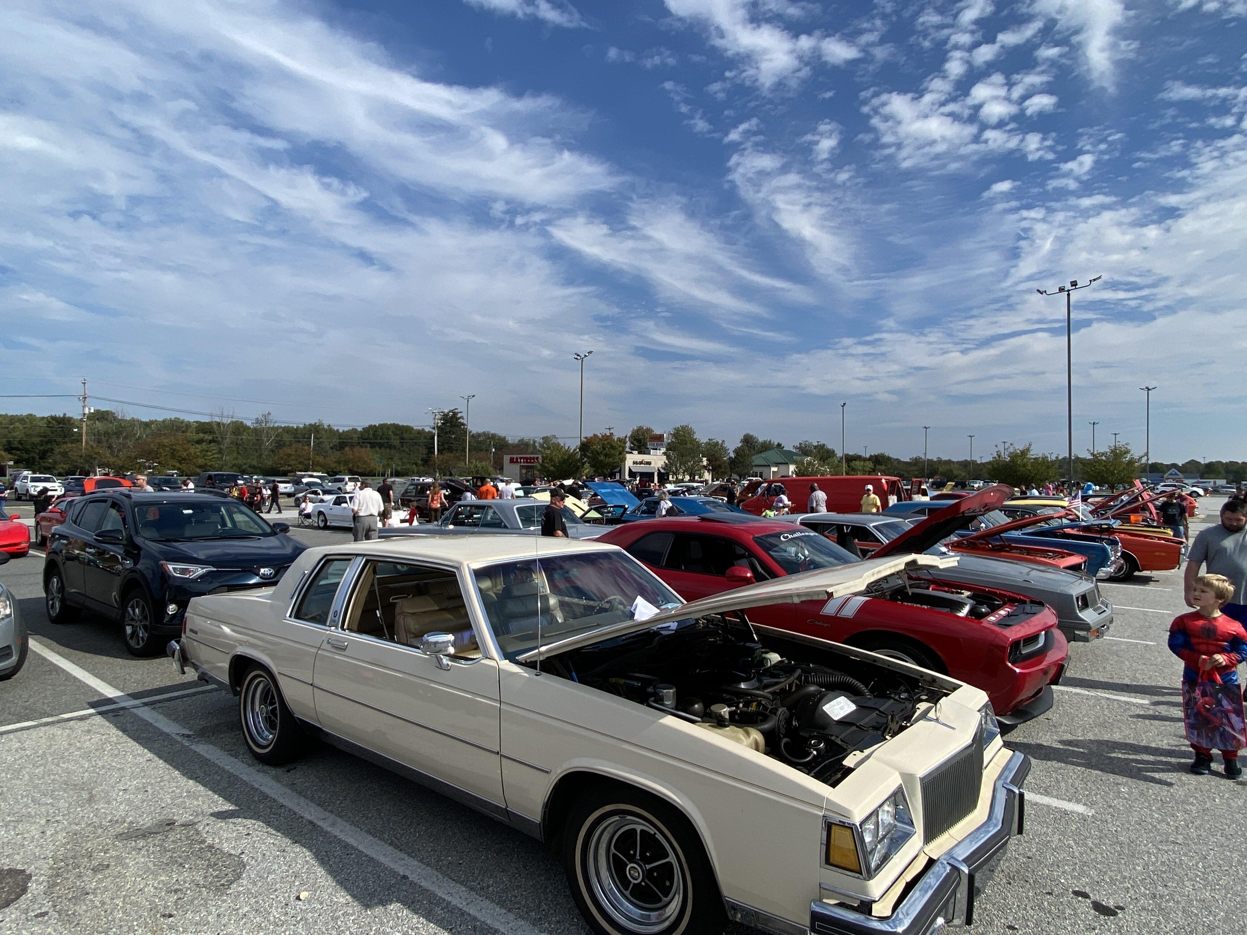 Photo by daisyferret1