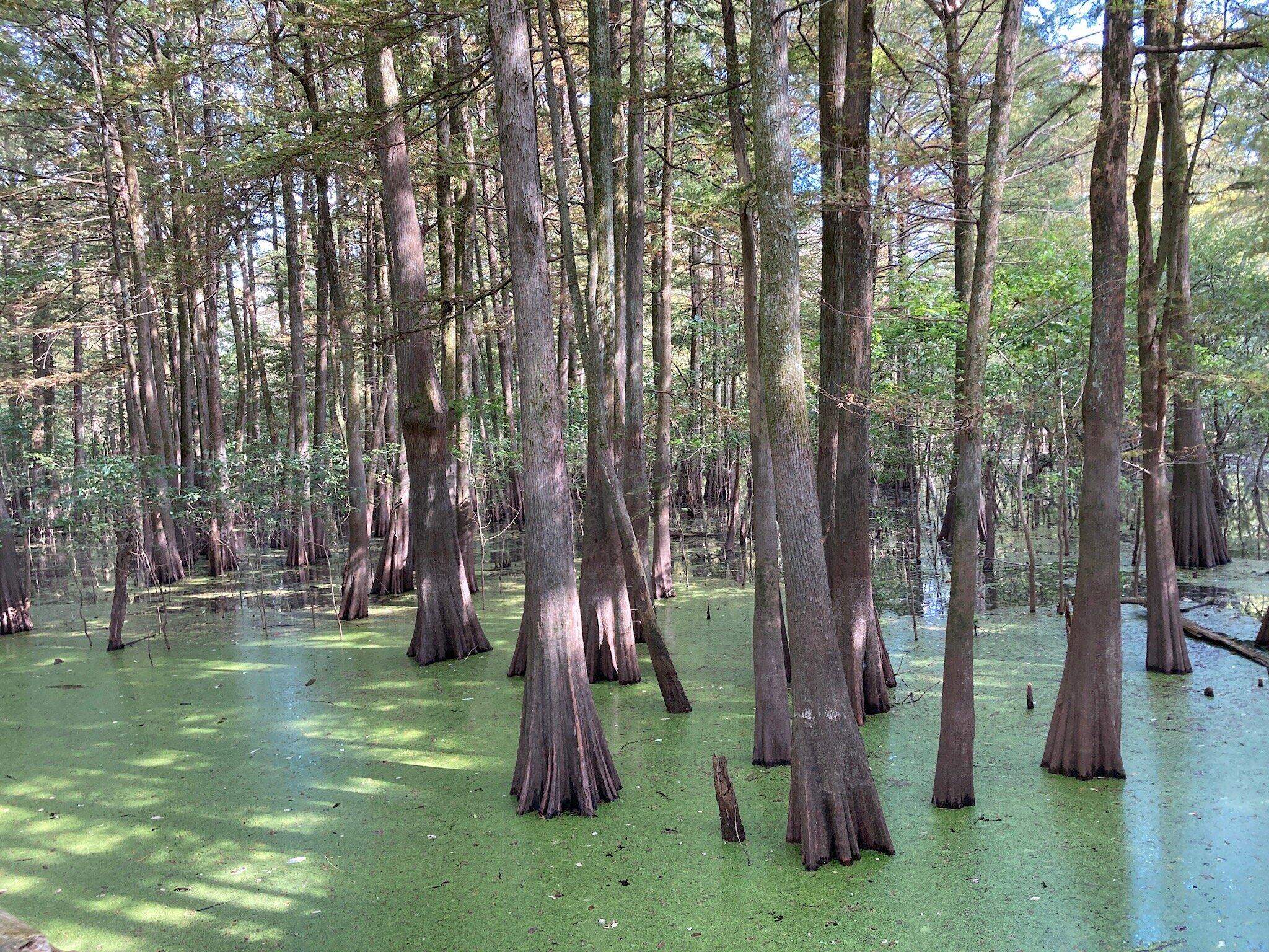 Photo by Maps47507232443