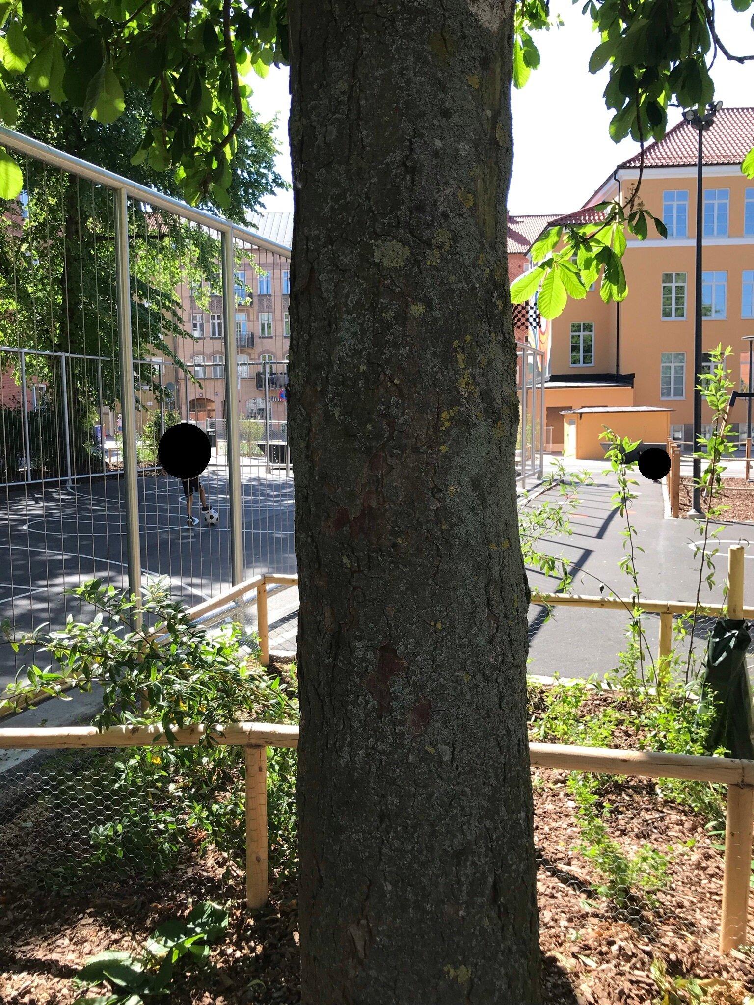 Spielplatz Norra - Playground