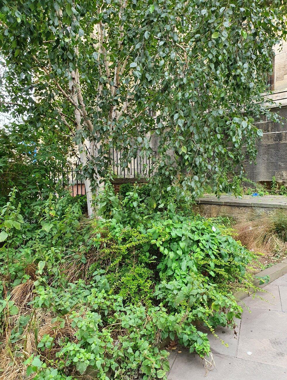 The Basil Hume Memorial Gardens