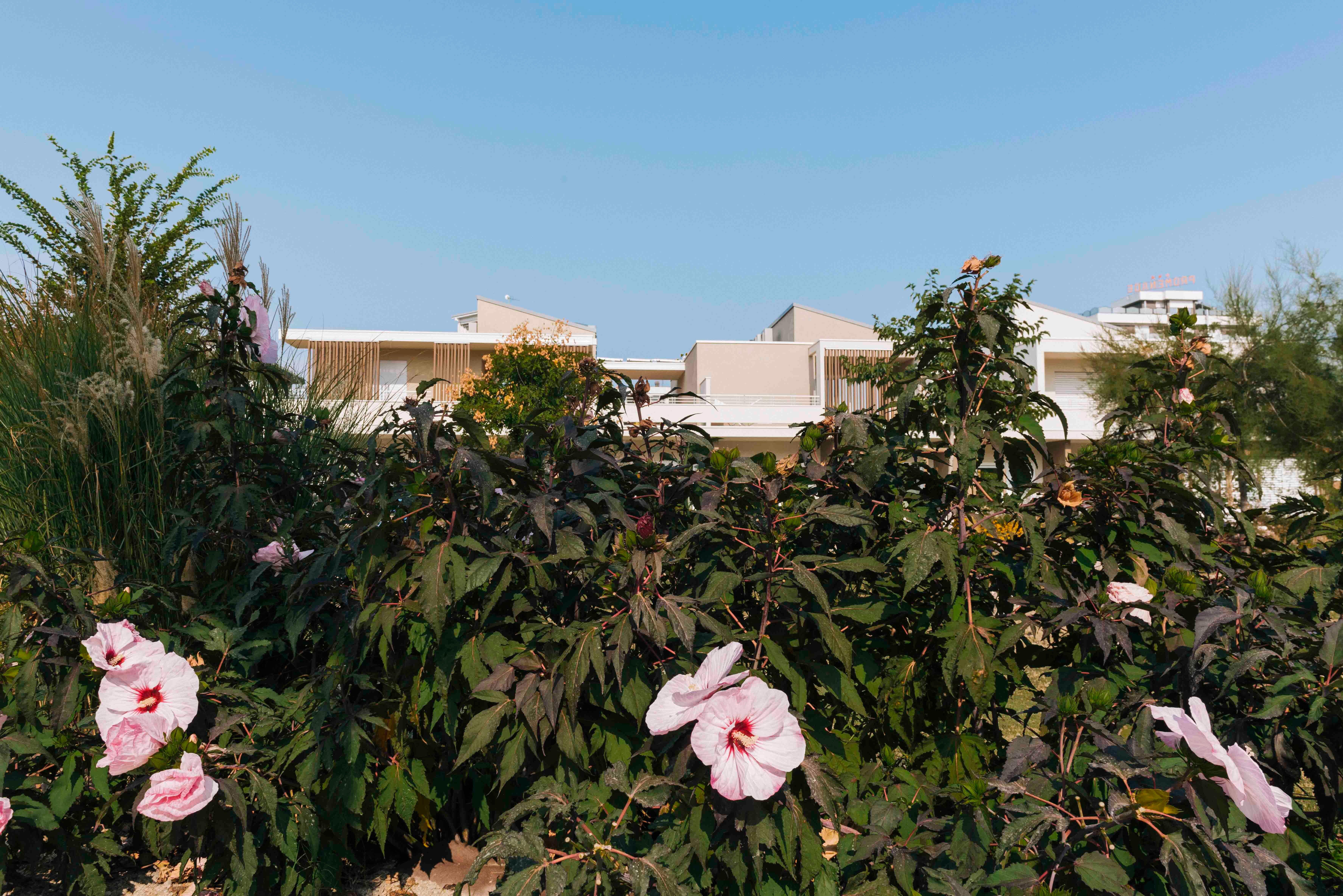 Suite Du Parc & Hotel