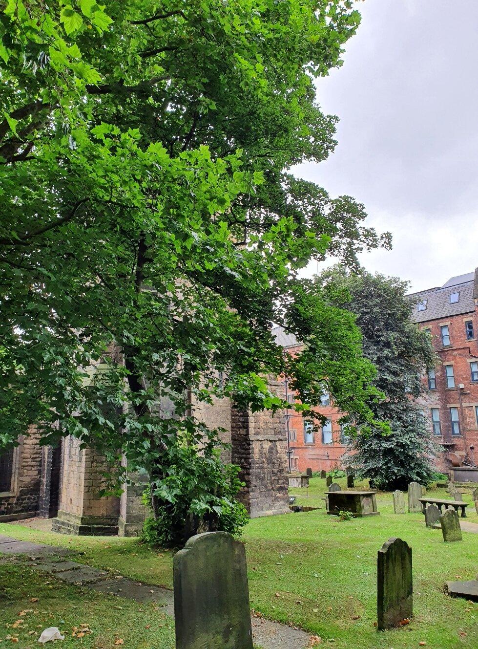 St Andrew's Church Gardens