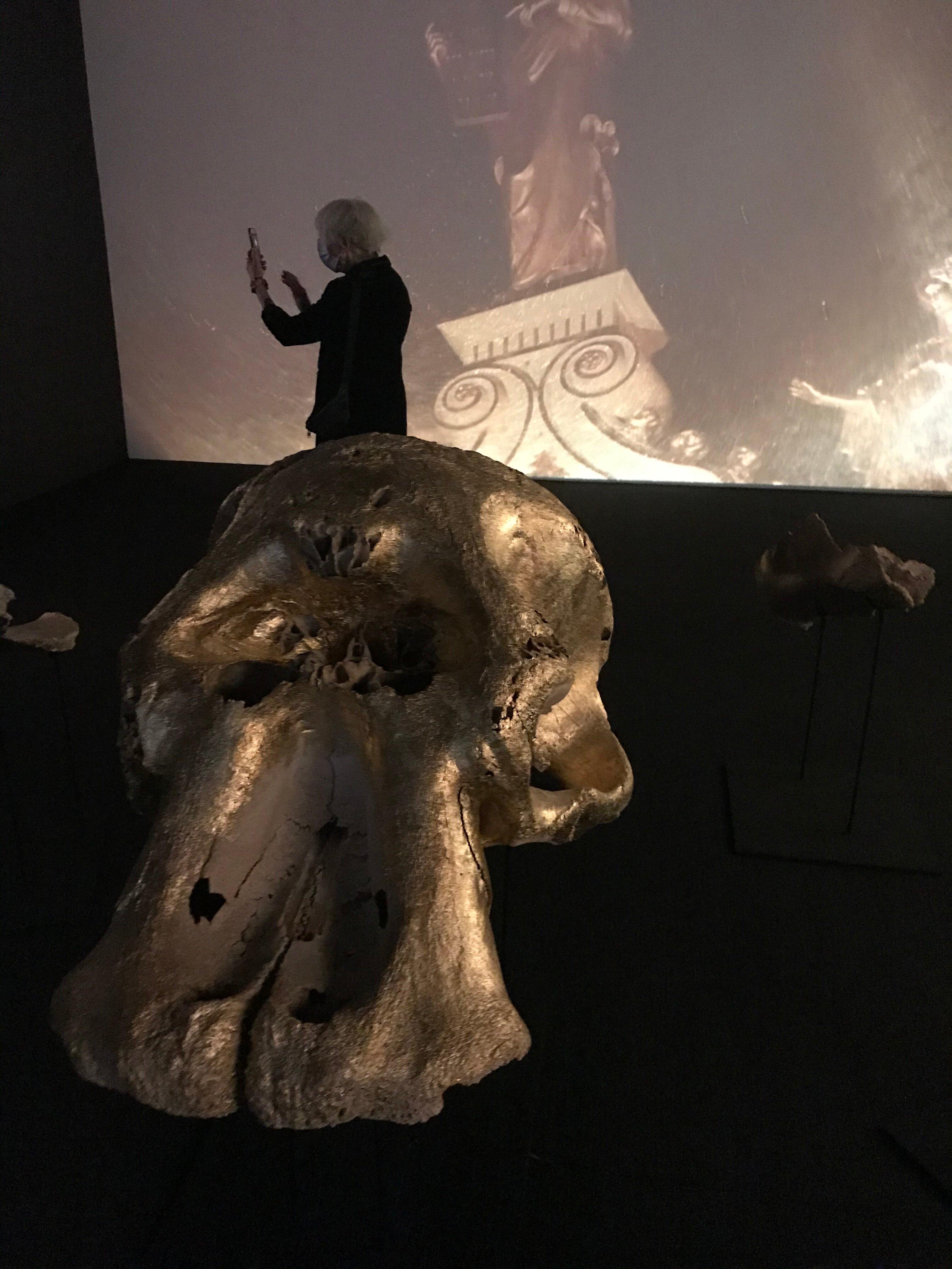 The Johannesburg Contemporary Art Foundation