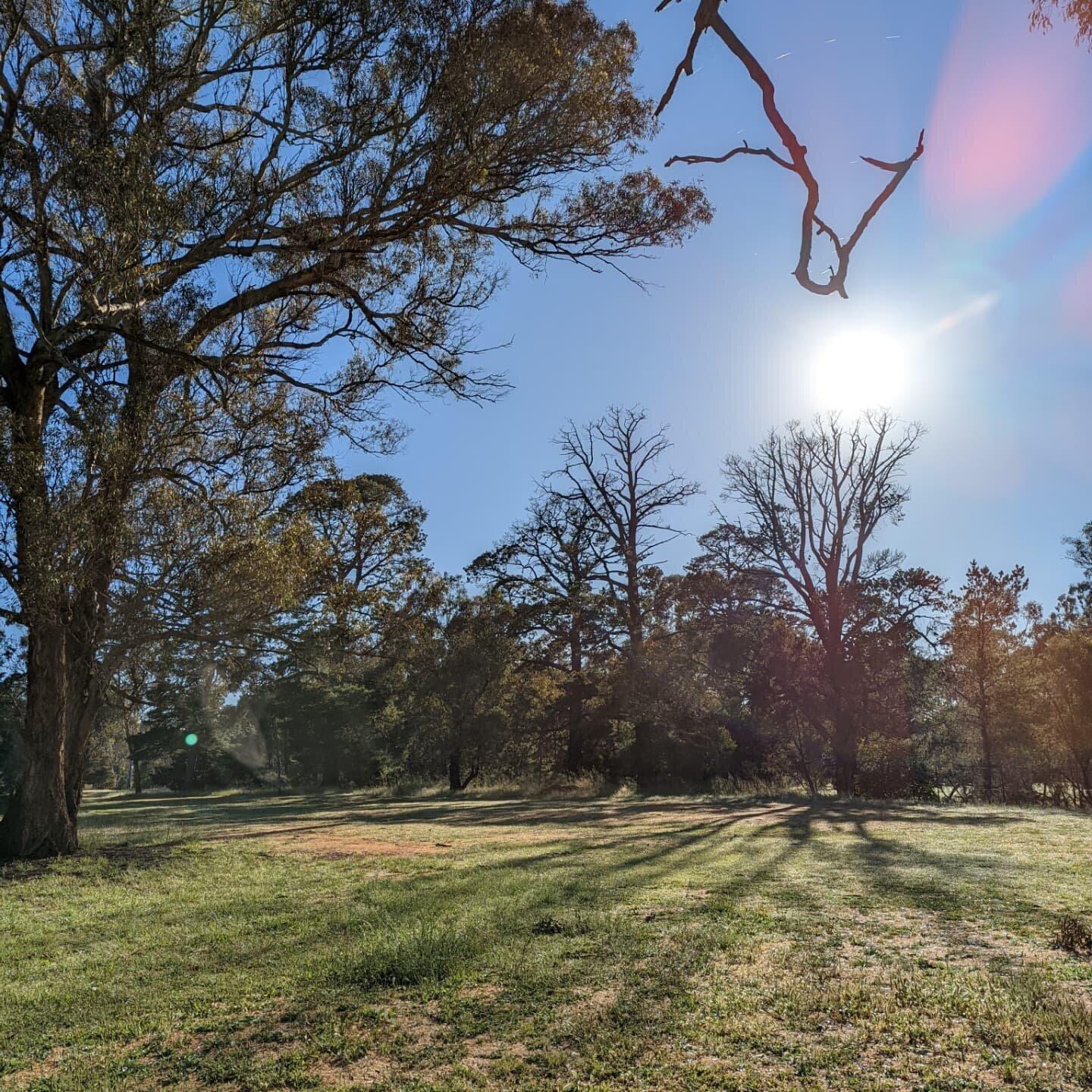 Photo by Fearless41233908287