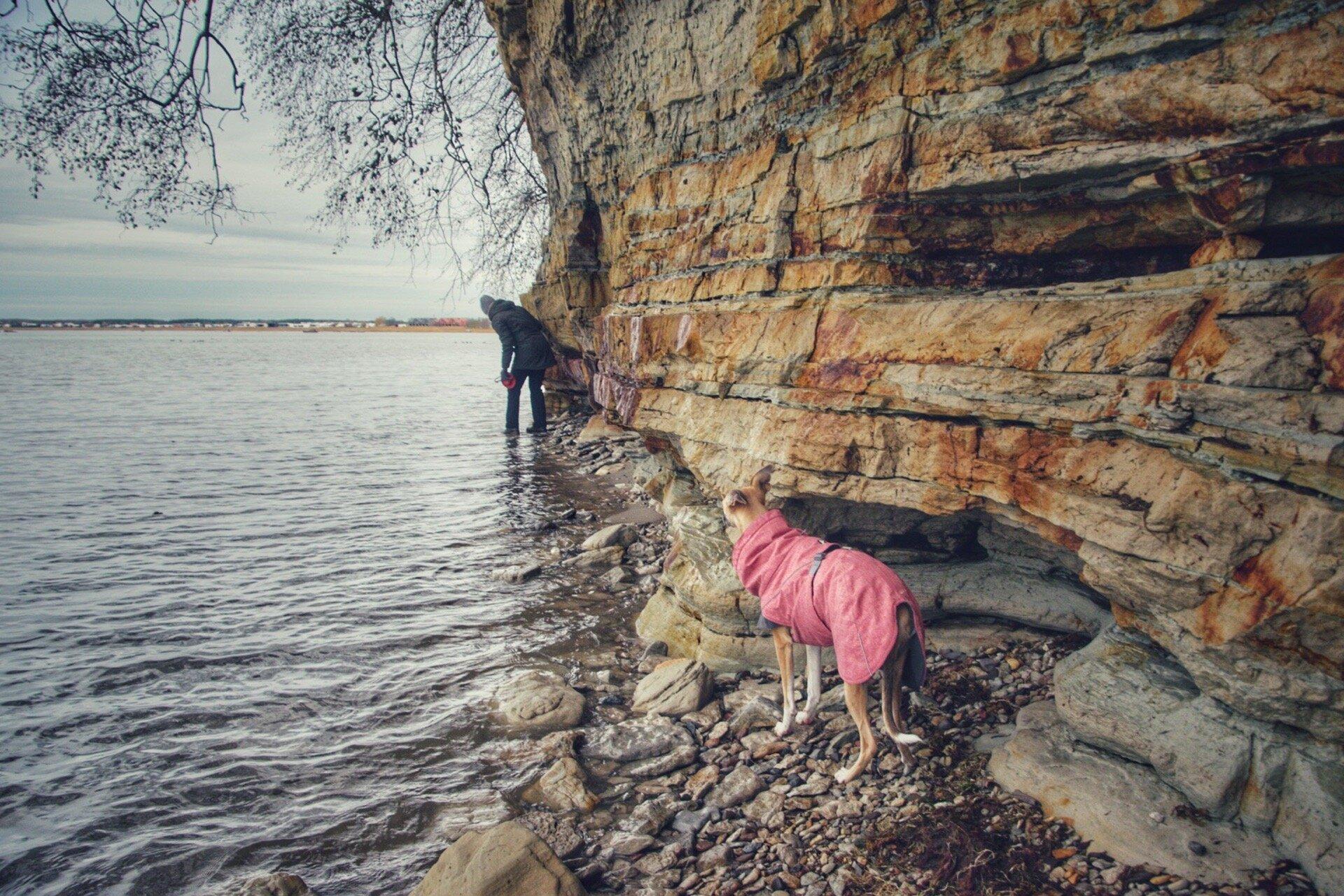 Tabasalu Loodusõpperda