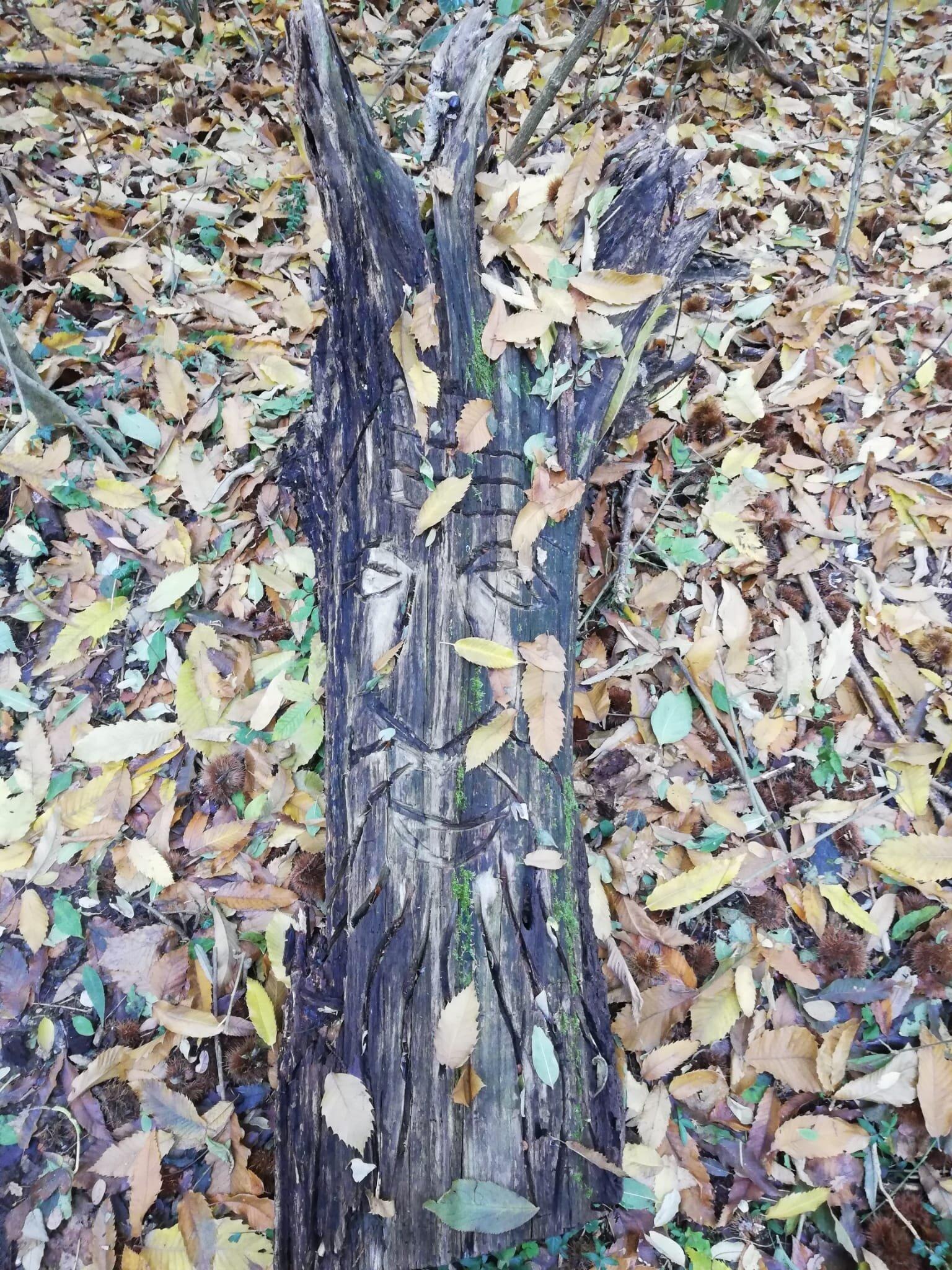 Sentiero Dei Proverbi Brianzoli