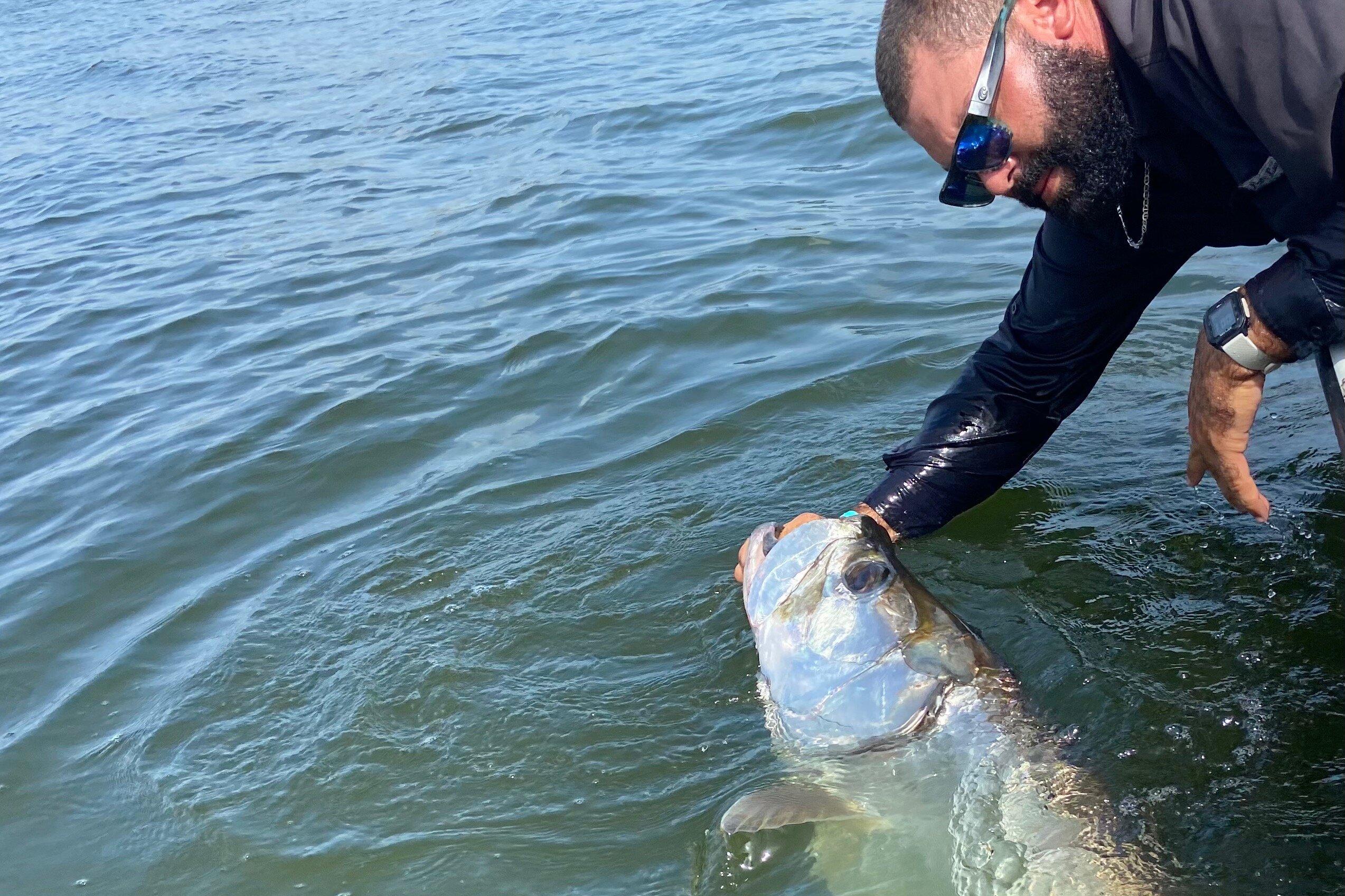 Tight Lines Fishing Puerto Rico