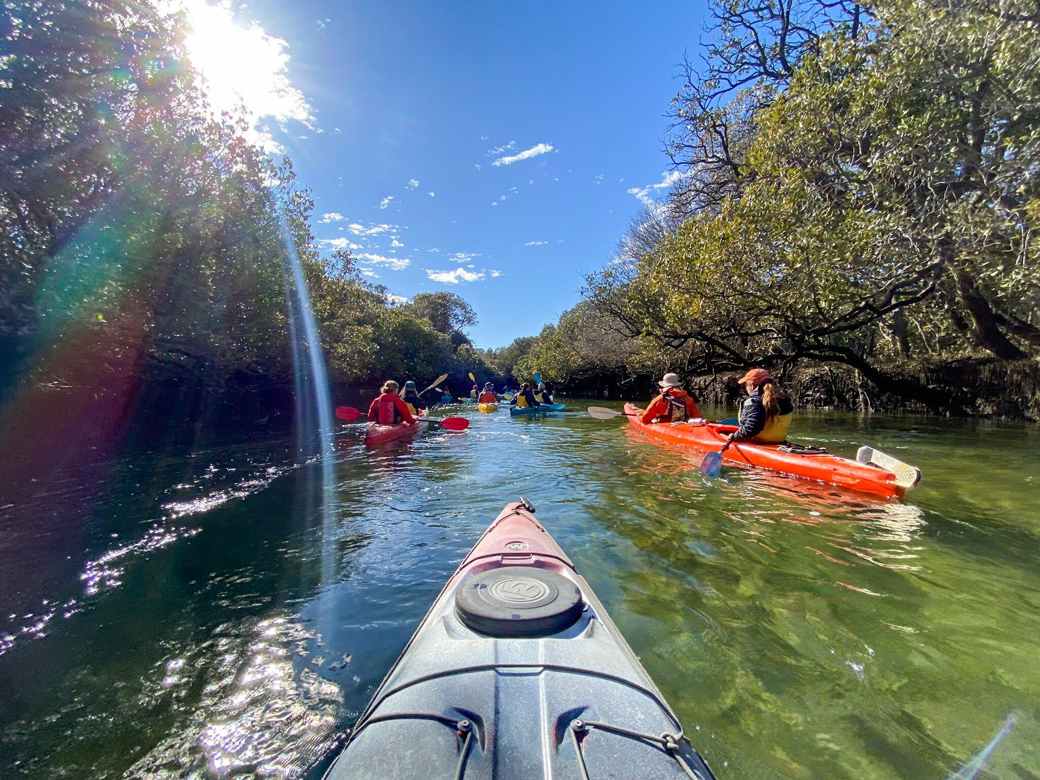 Adventure Kayaking SA
