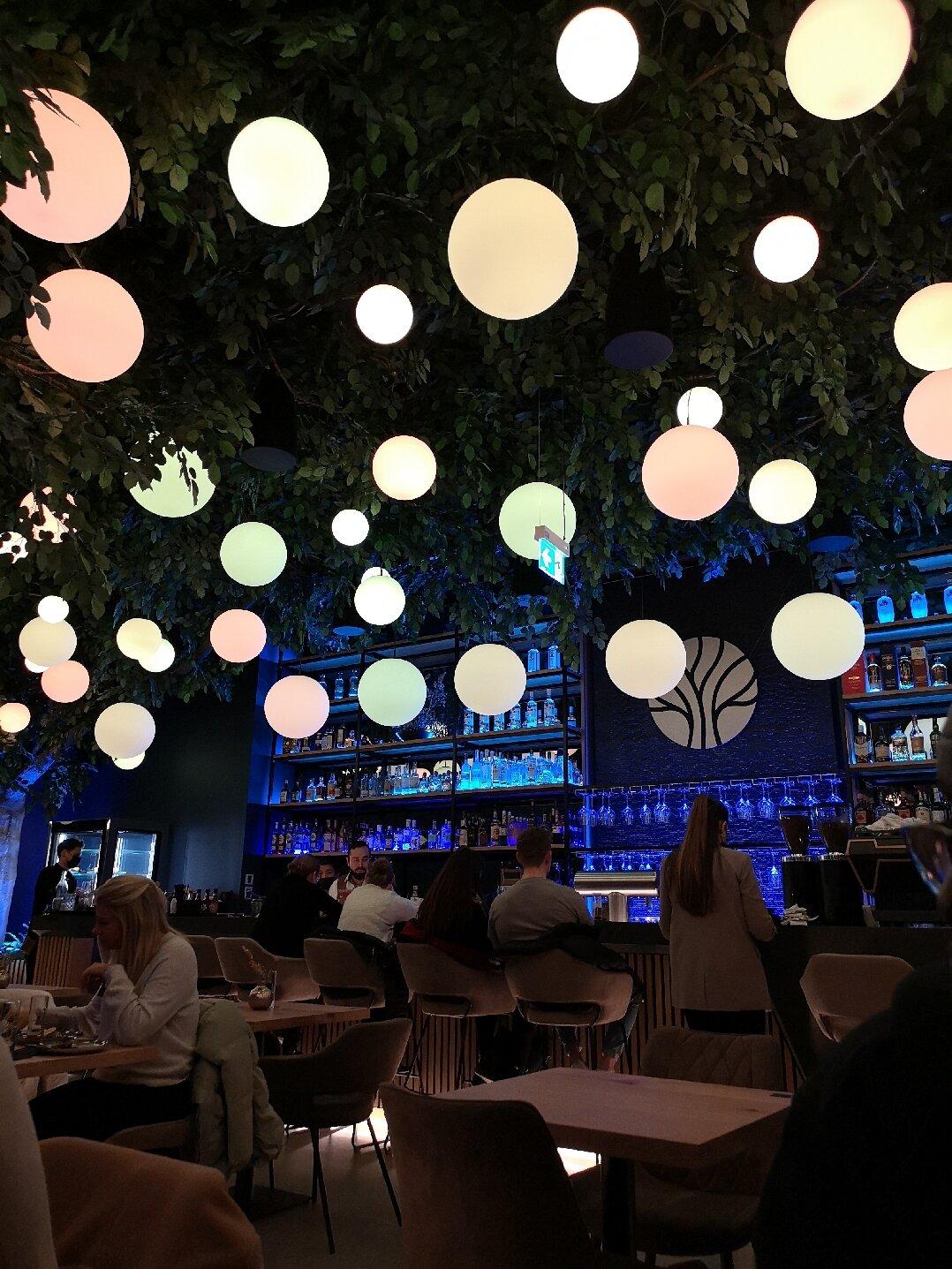 Photo by L4093OHpetrab