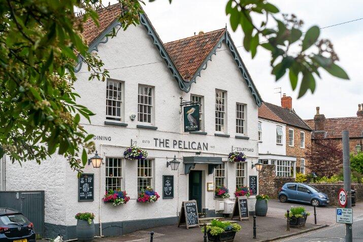 The Pelican