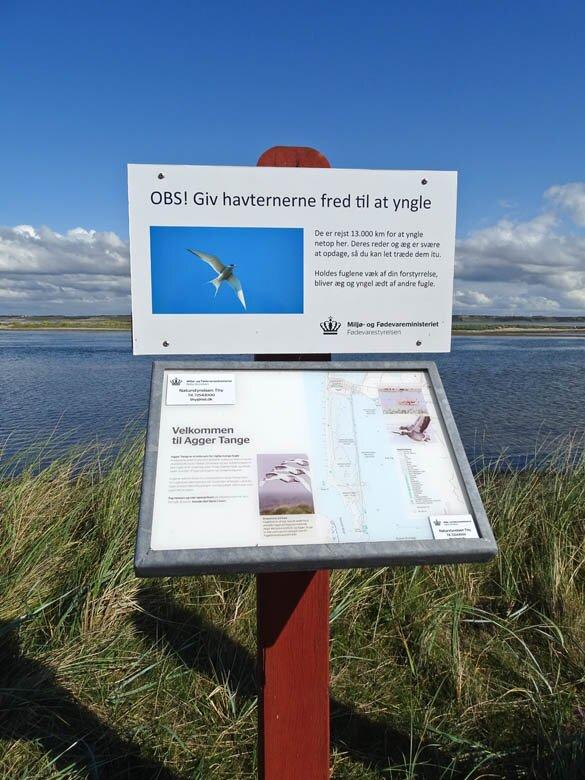 Informationshuse Svaneholmhus