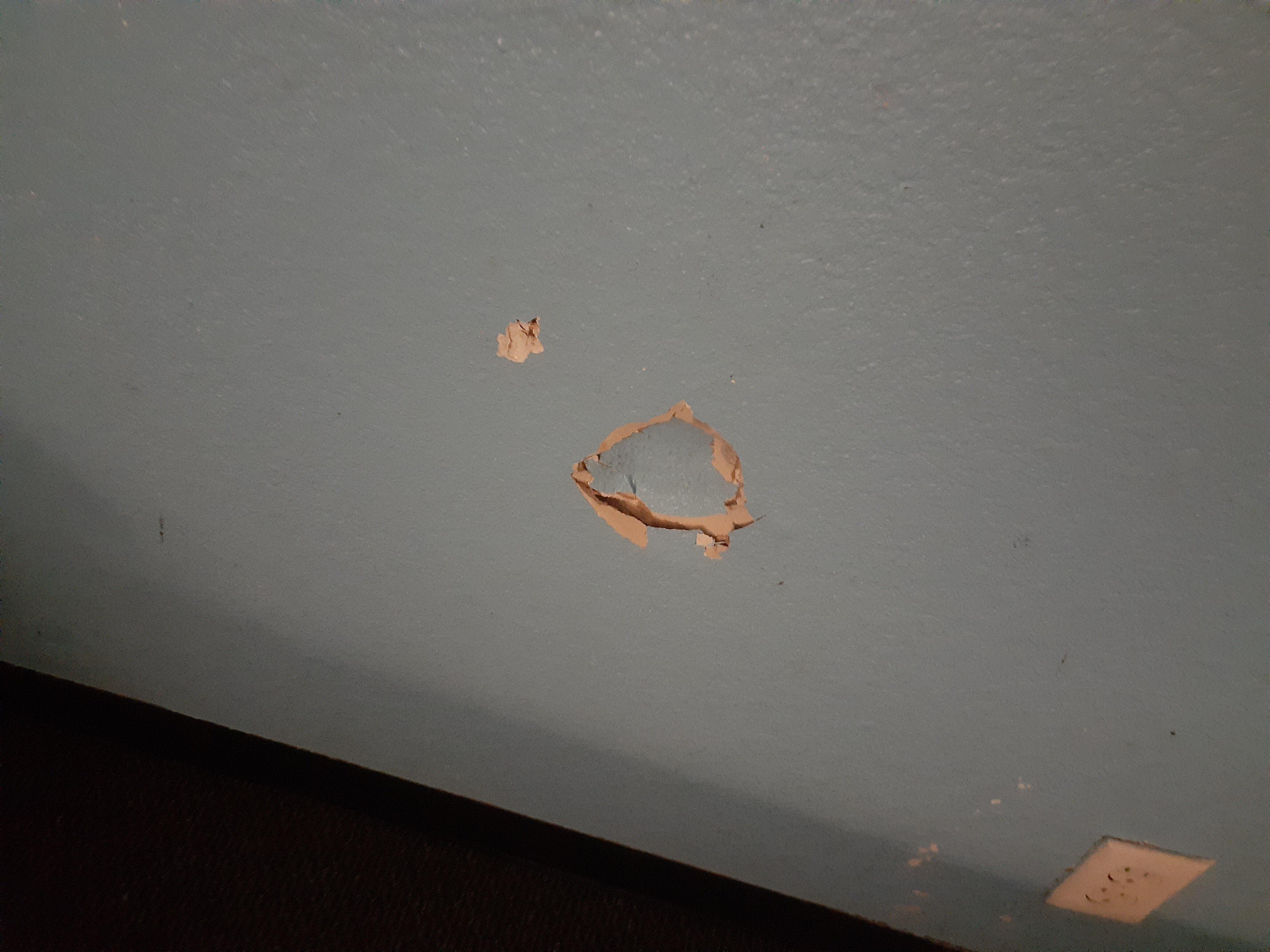 Photo by danlB5034WA