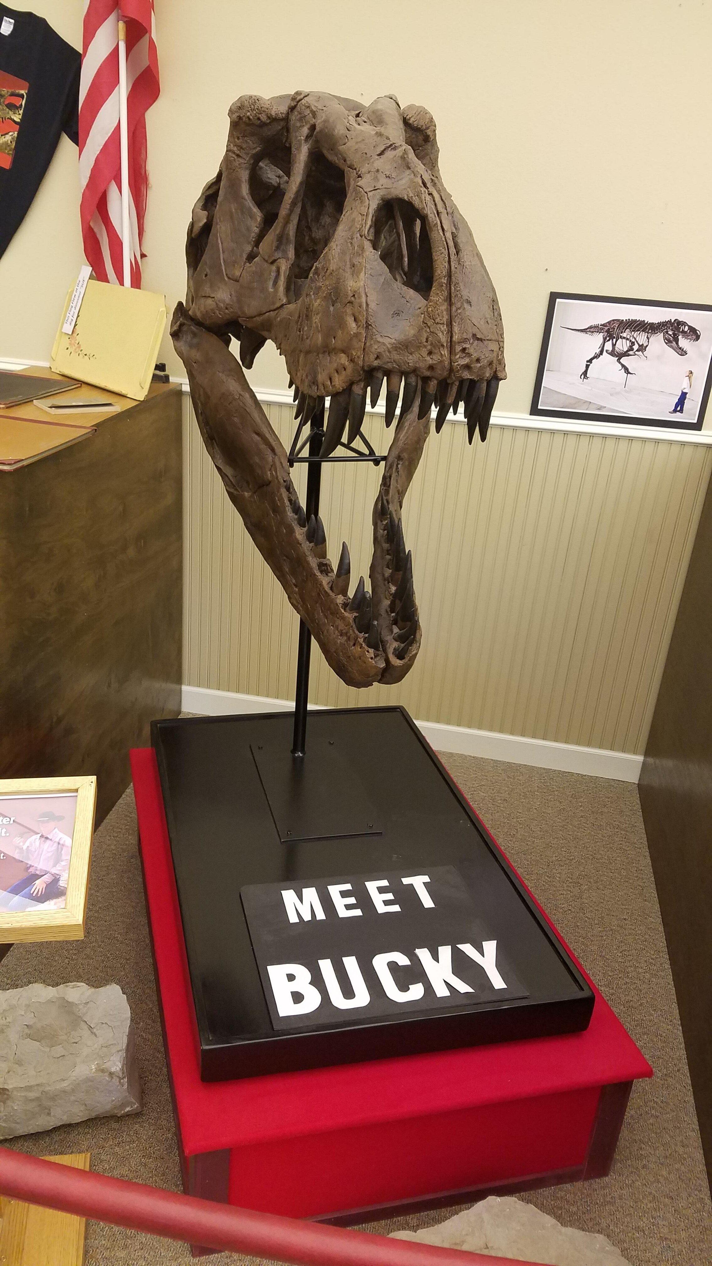 Faith Information Center