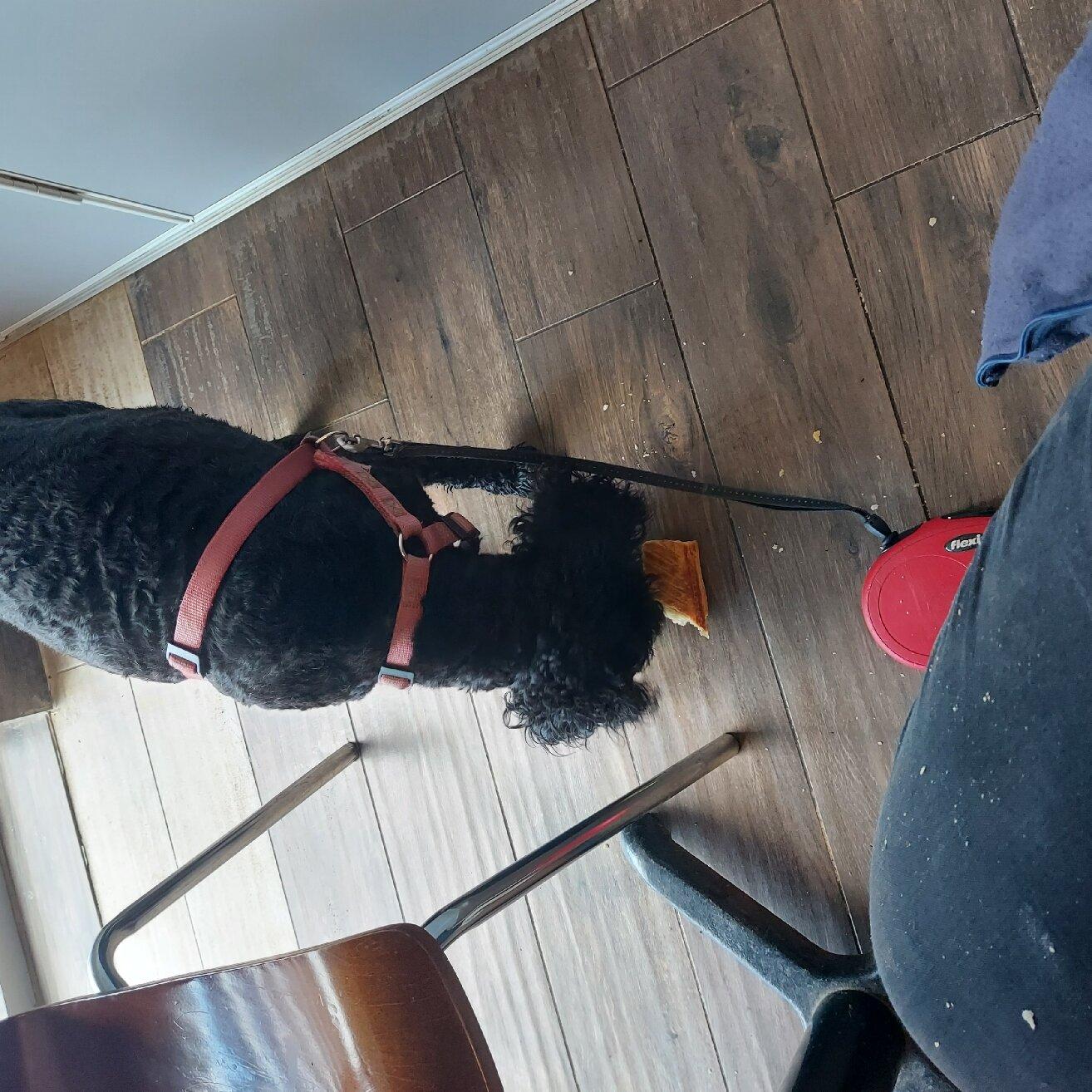 Chislehurst Recreation Ground