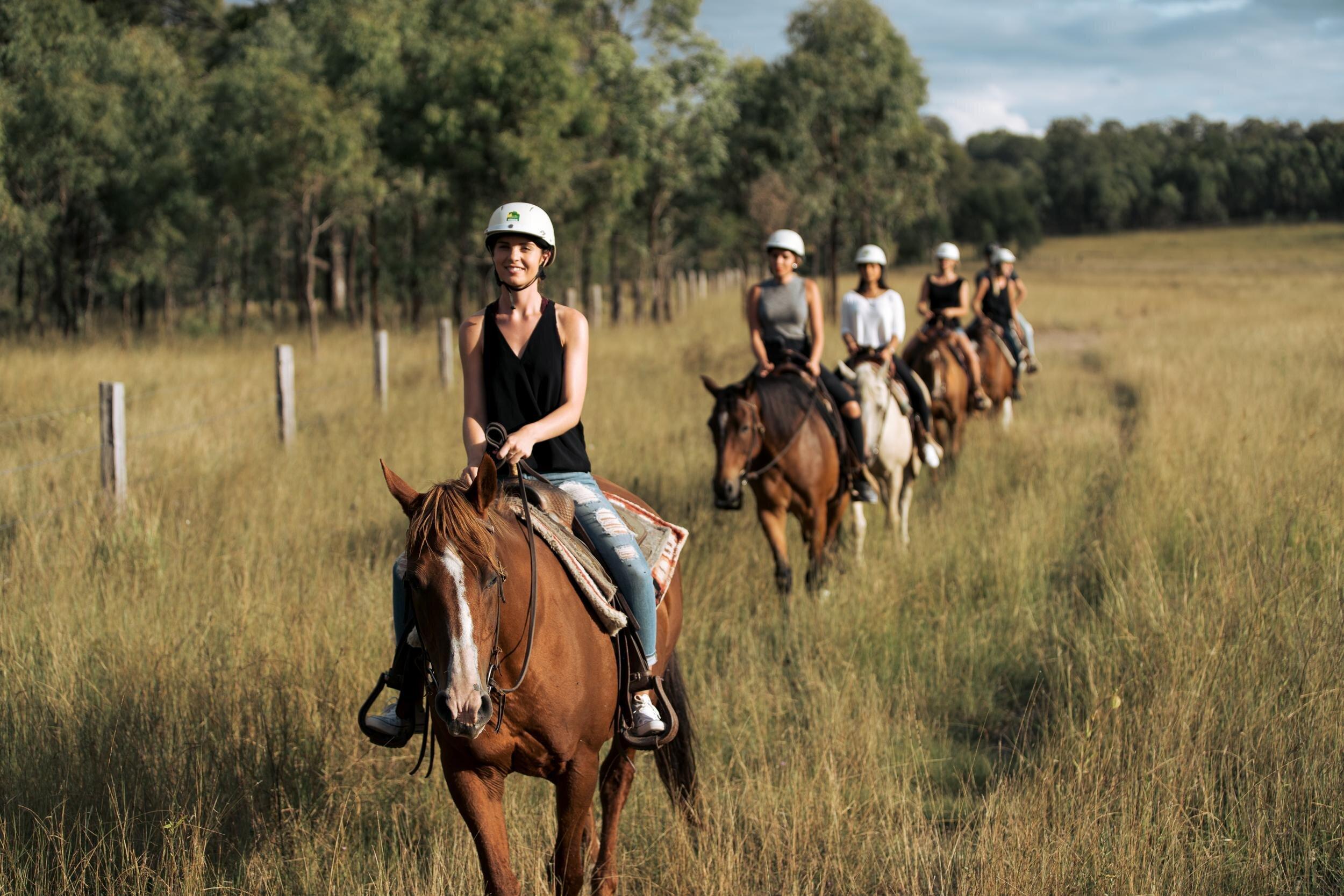 Cowboy Up Trail Riding