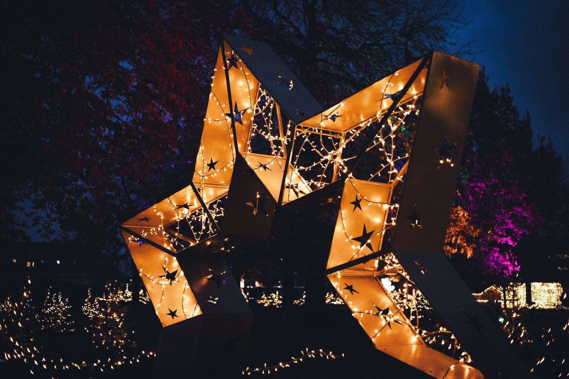 Lumagica - Enchanted Winter Forest