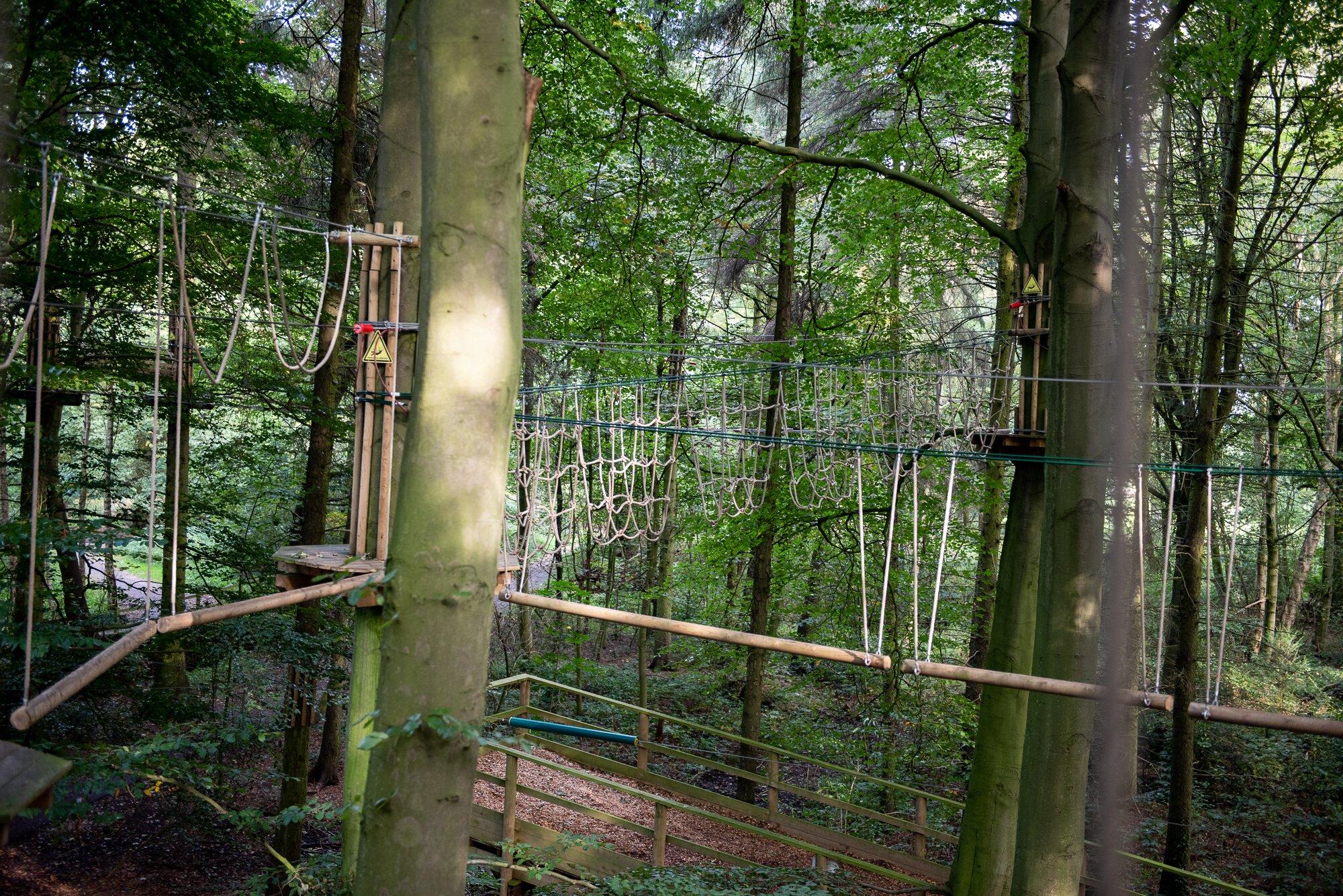 Go Ape Normanby Hall