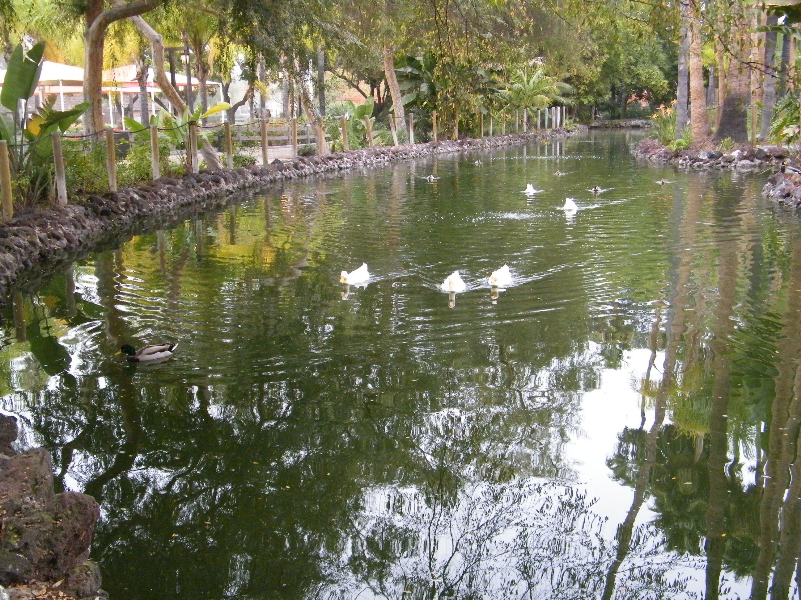 California Marketplace At Knott's
