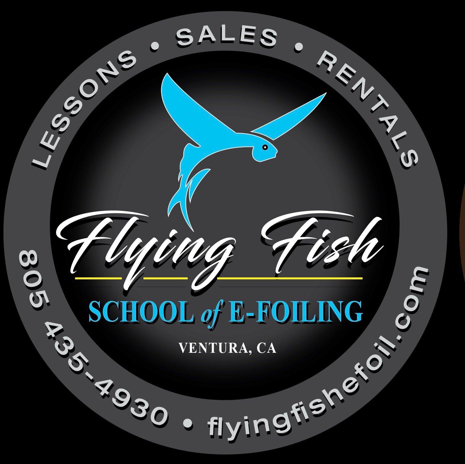 Flying fish school of efoiling